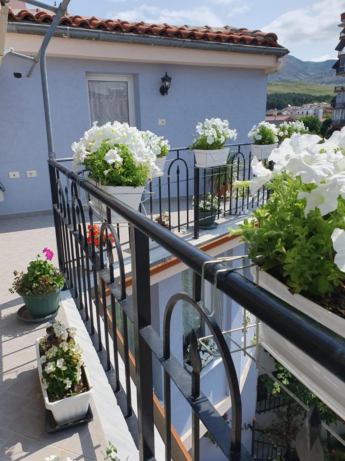 Diana Guesthouse