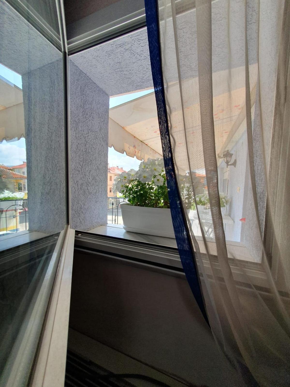 Diana Guesthouse