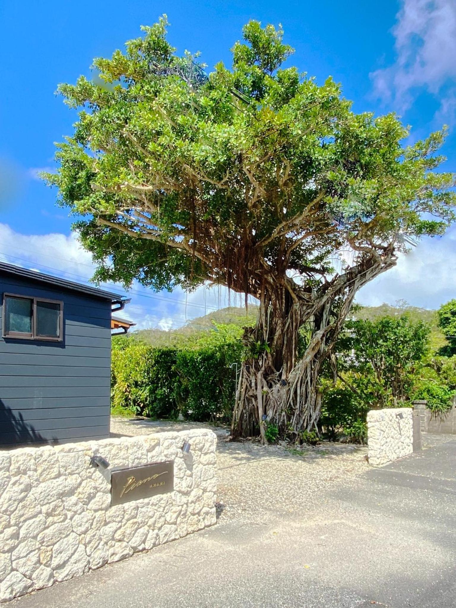 LOVE ME PLAN - Vacation STAY 11302v view 4