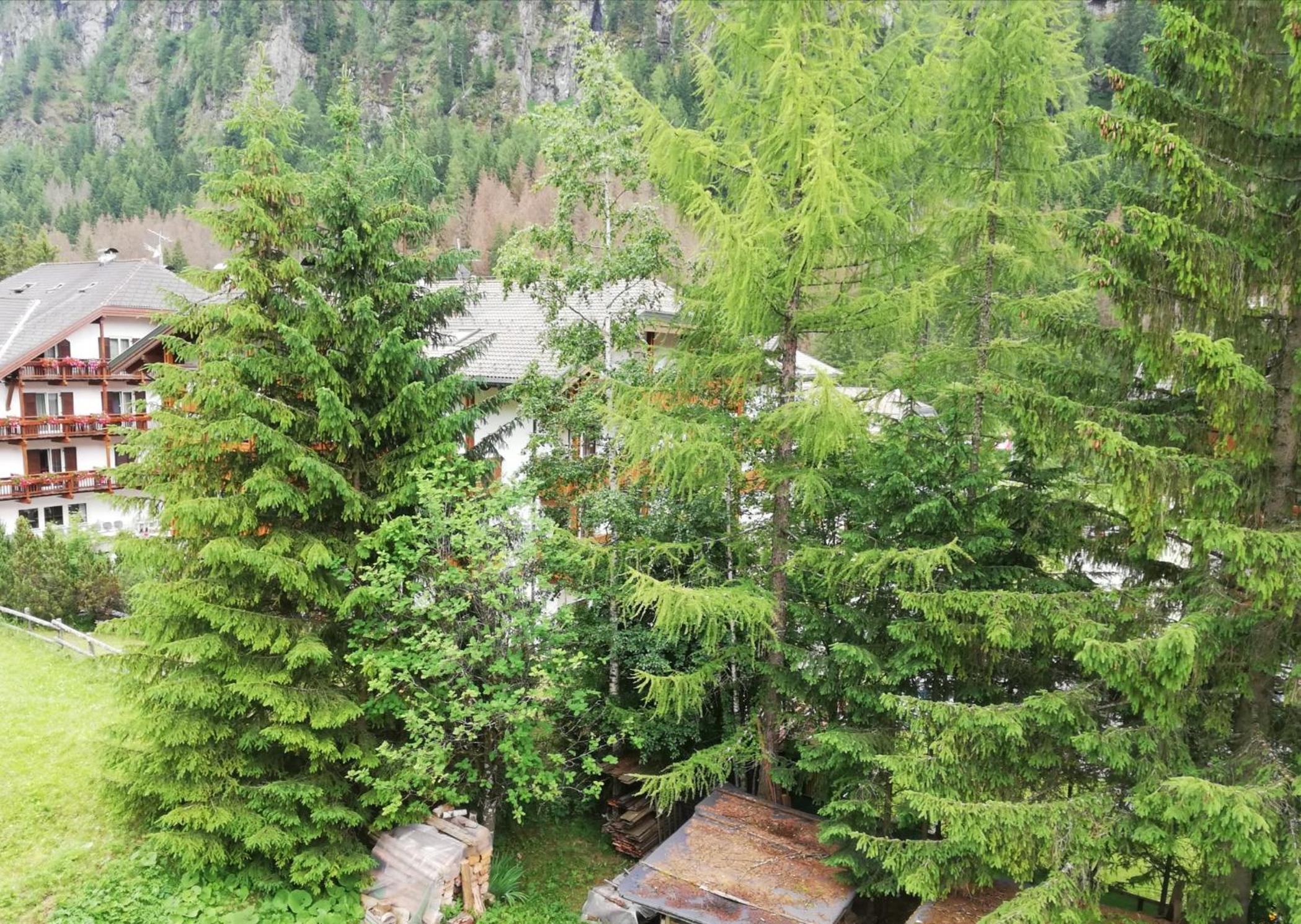 Cèsa Pier Sellaronda Dolomiti