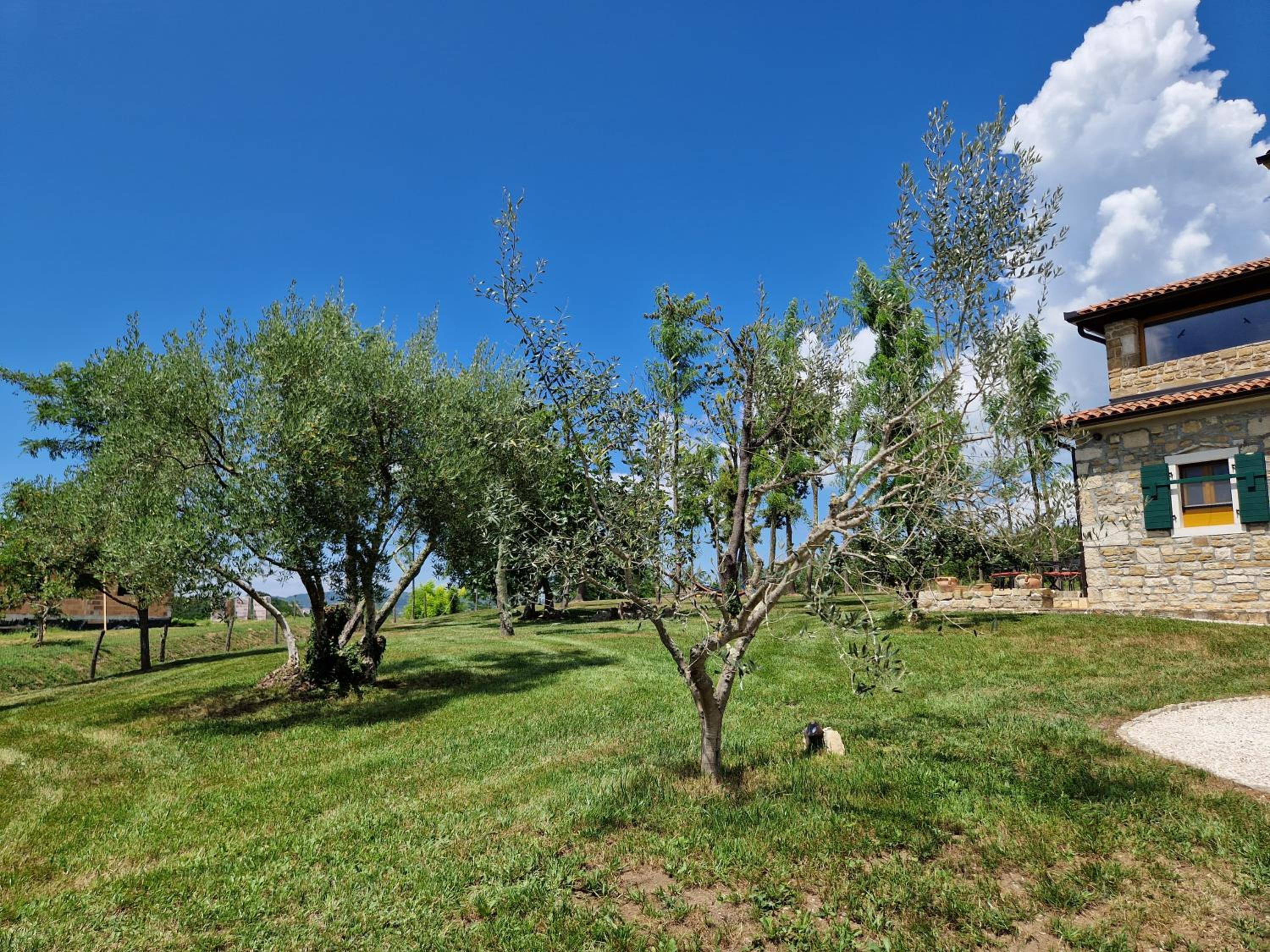 Villa Castelletto Parenzana