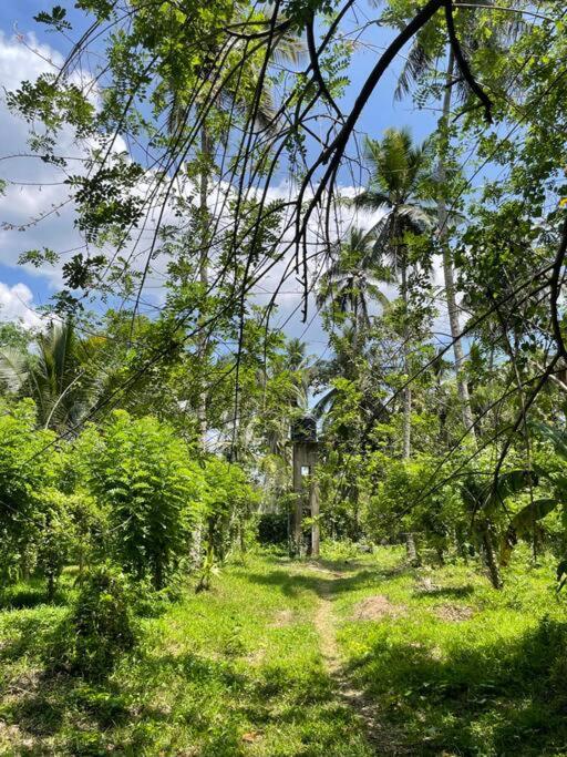 Diklande Estate Bungalow view 5