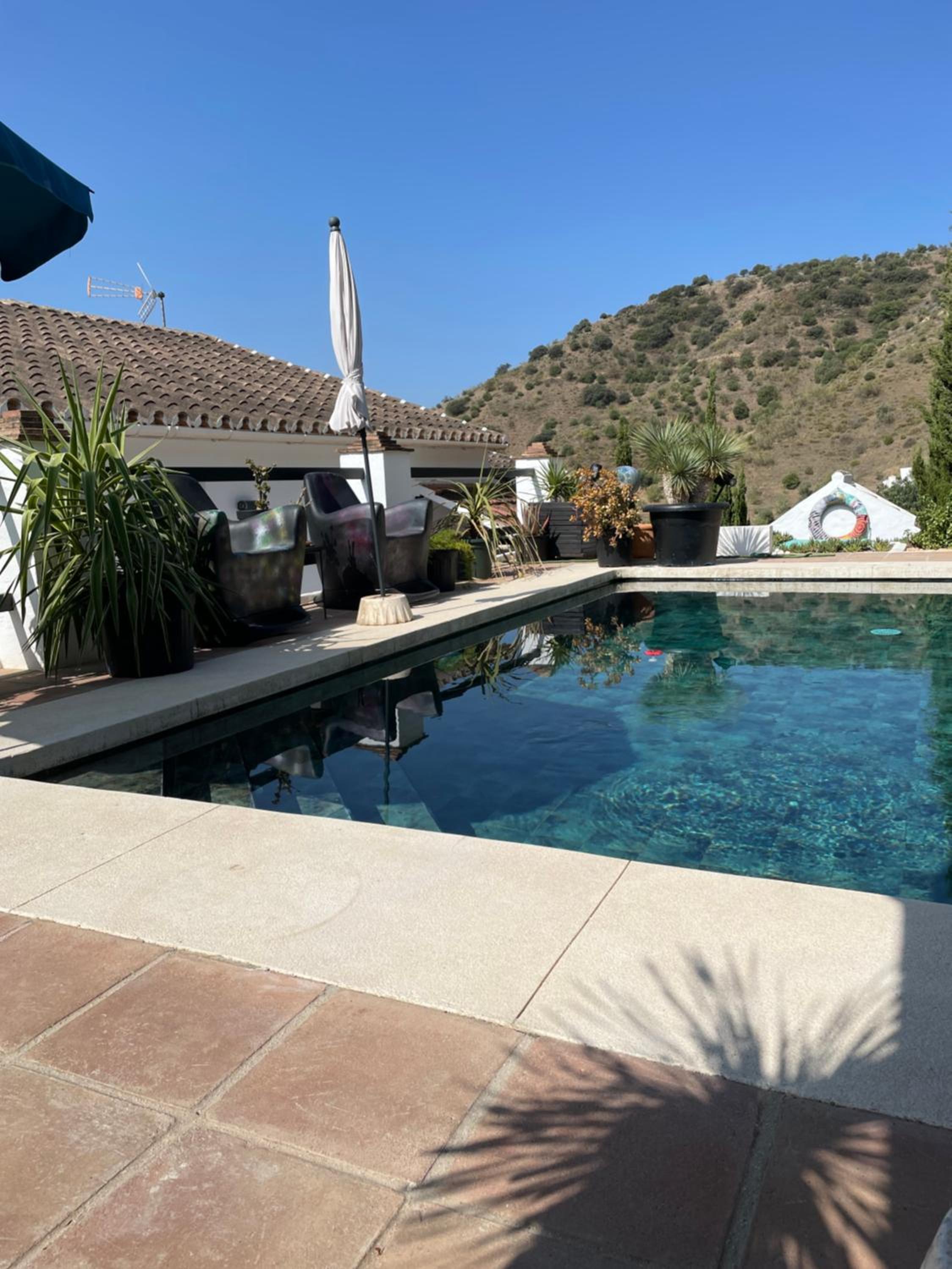 CASITA OASIS photo 4