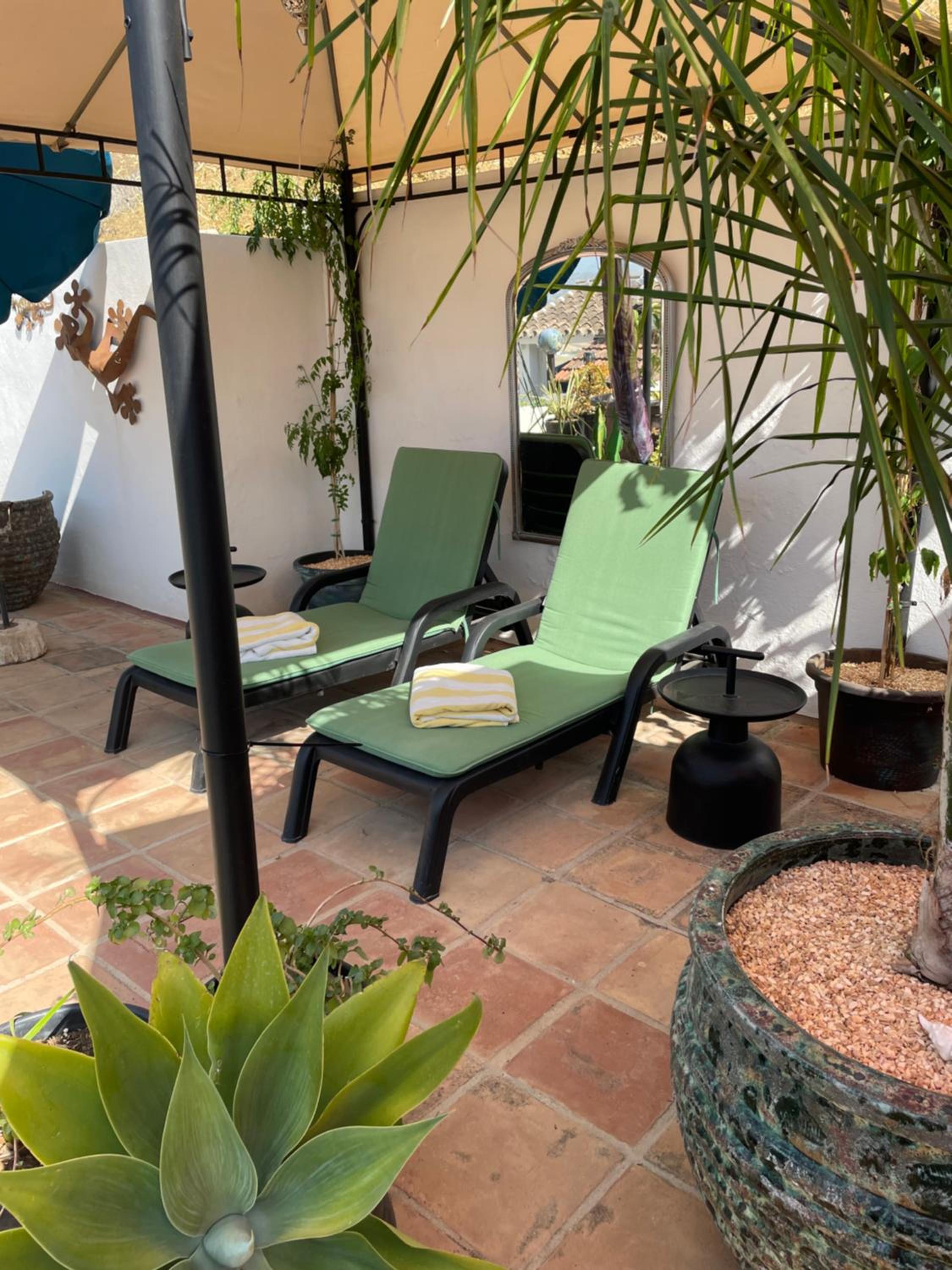 CASITA OASIS photo 3