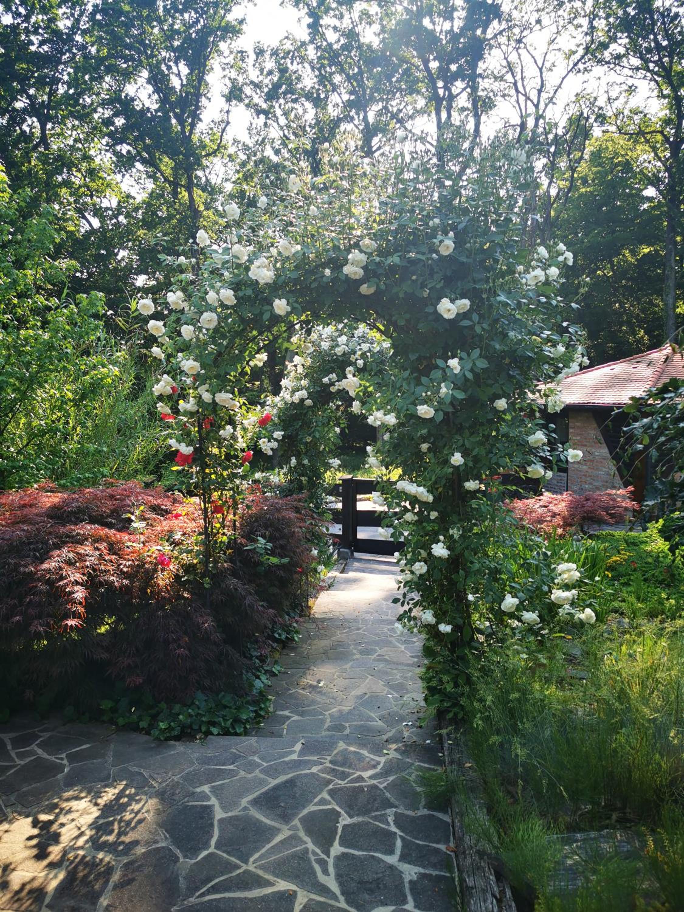 Holiday Home - Goričko Park view 2