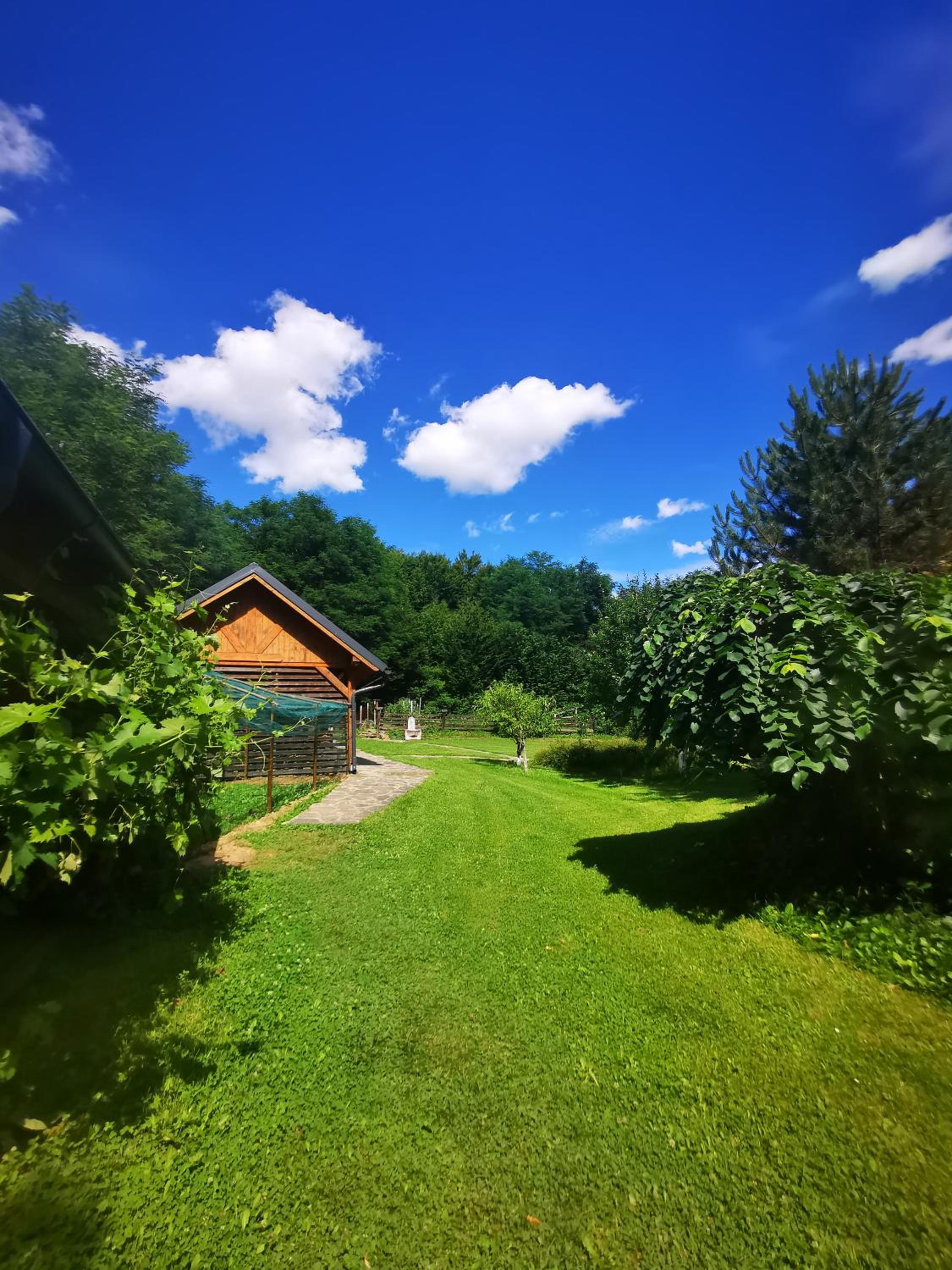 Holiday Home - Goričko Park view 4