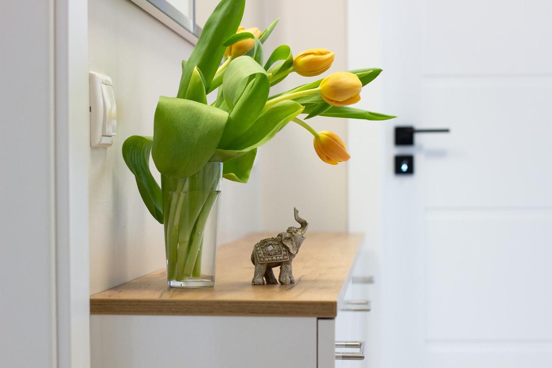 Apartment Briz Code - FREE PARKING