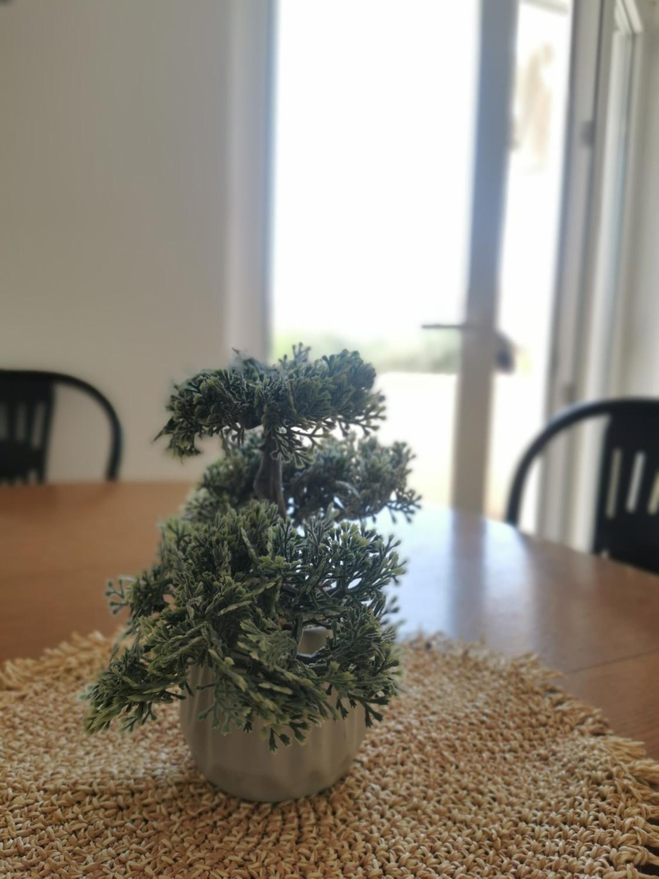 Apartmani Lešić