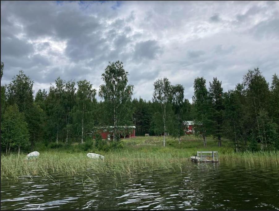 Photo 40