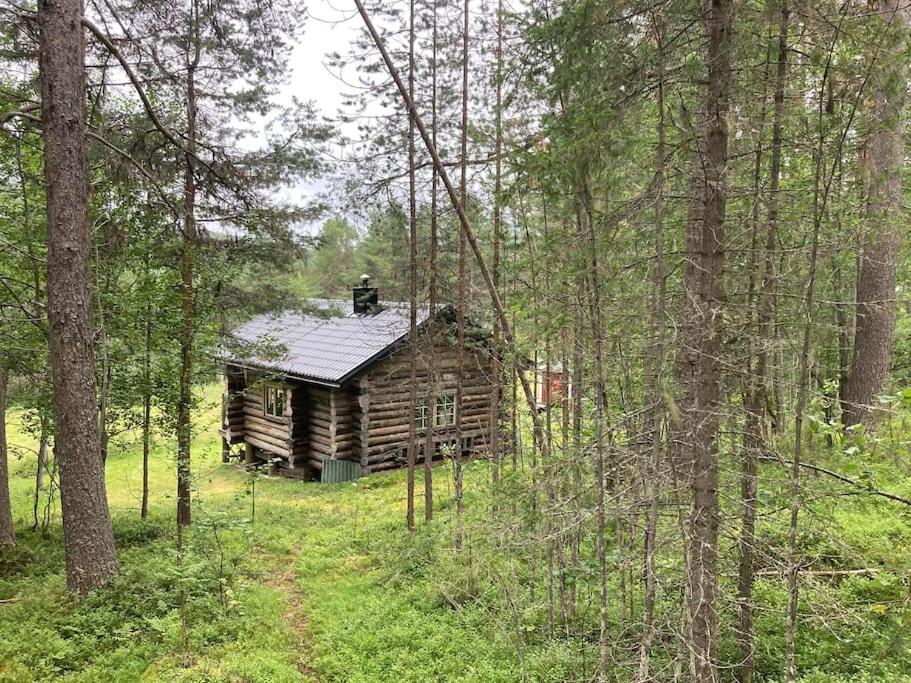 Lakeside wilderness cabin view 3