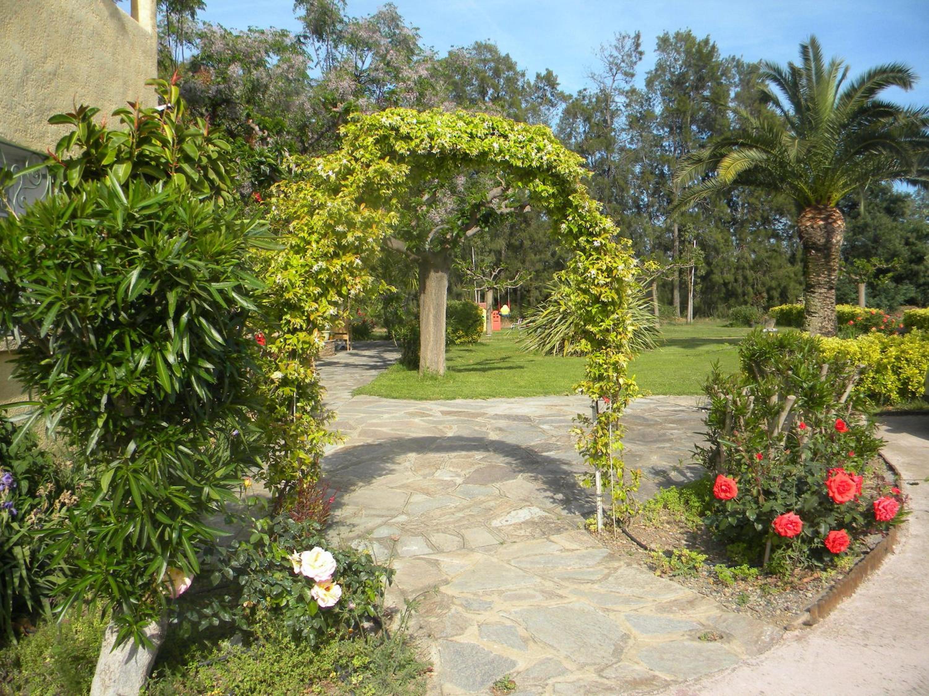 garden