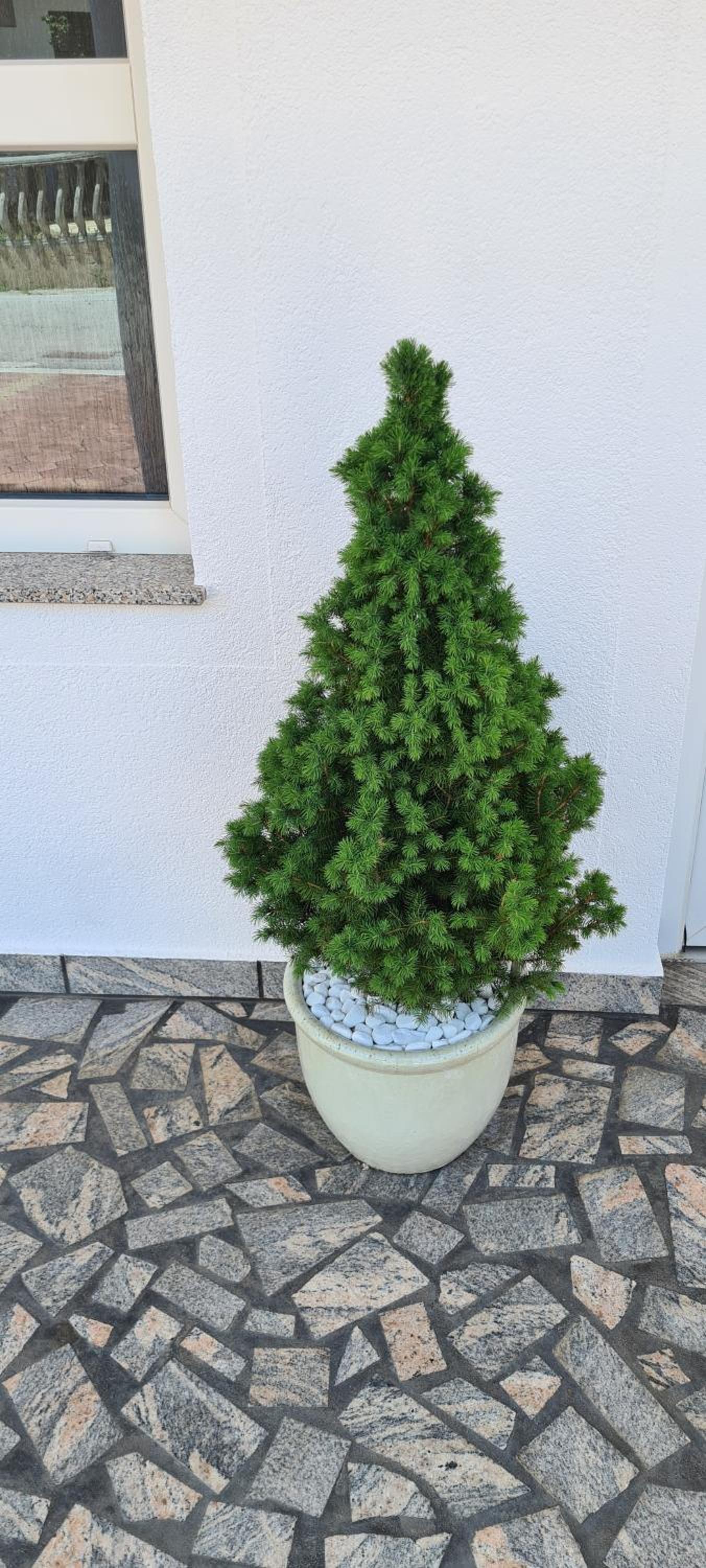 Photo 199