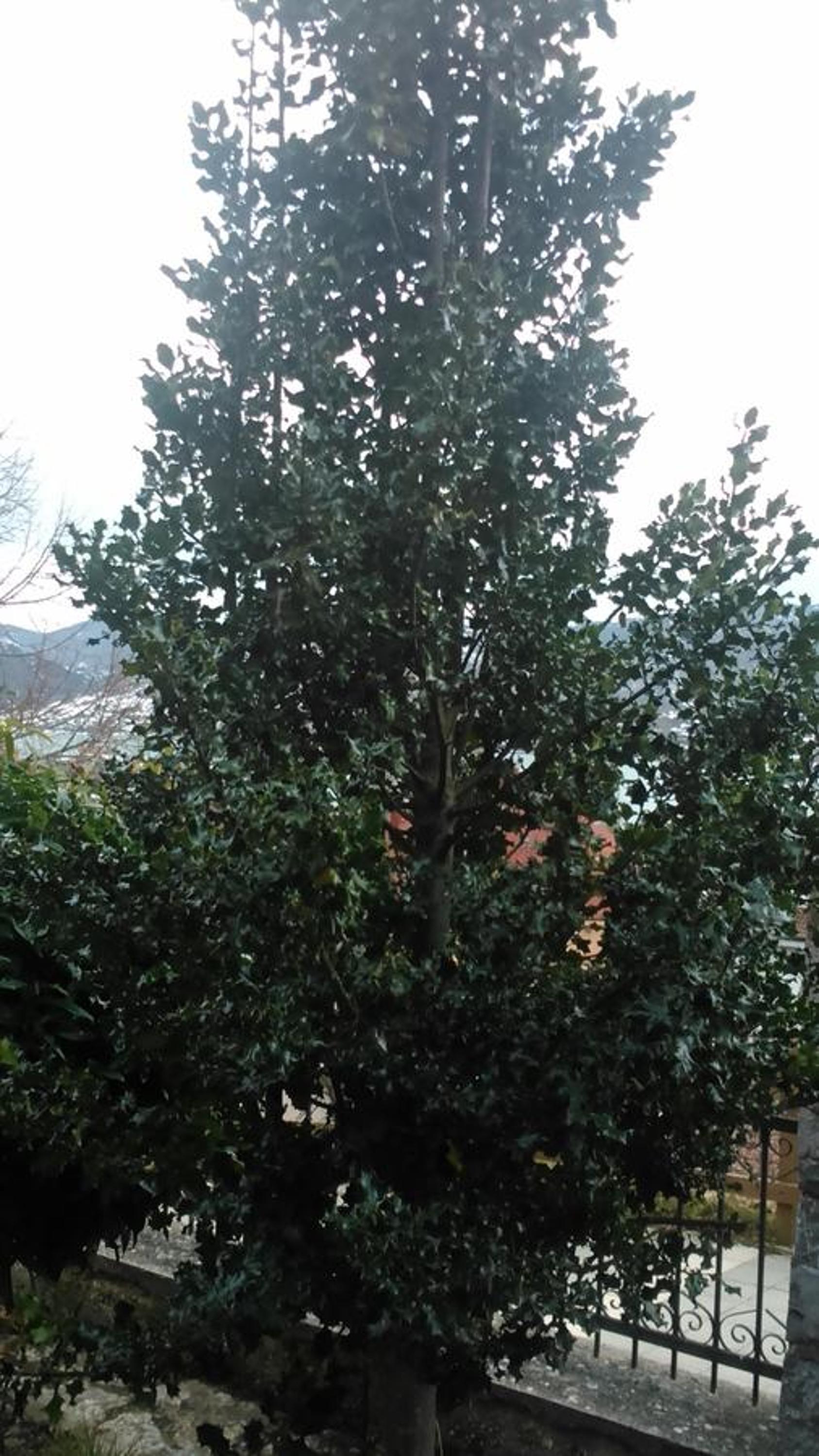 Casa Rural La Huerta