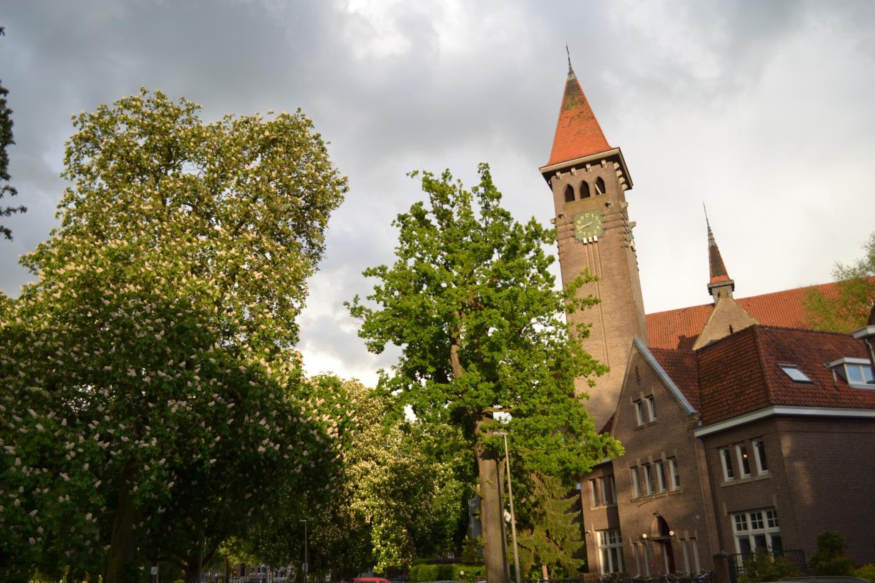 Photo 18