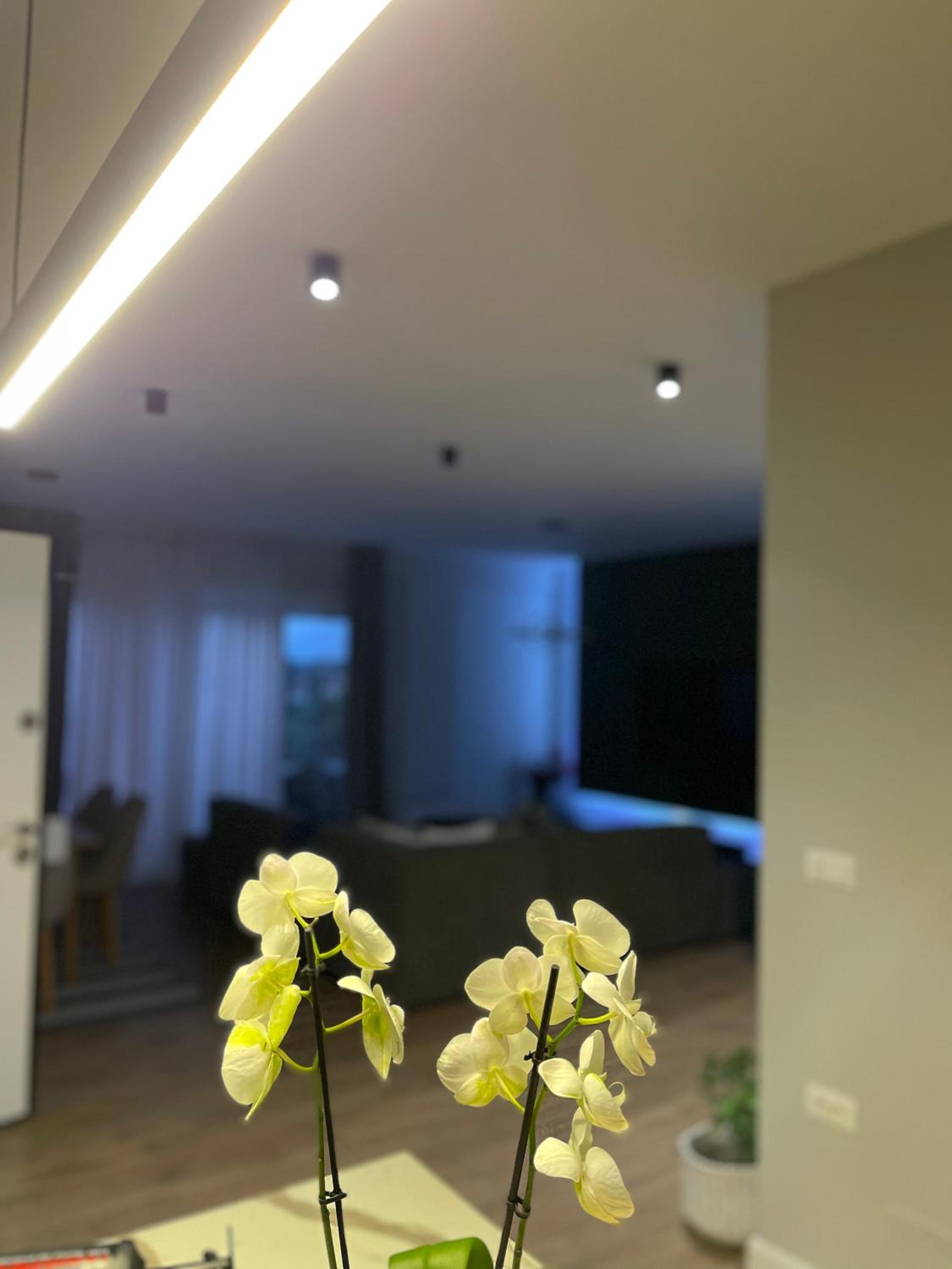 Villa 22