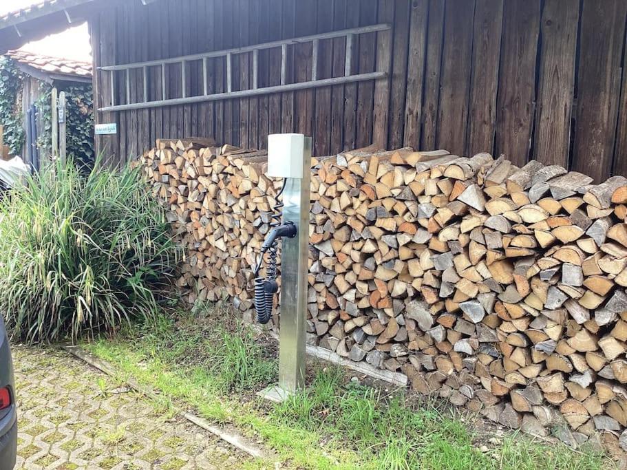 Der Birkenhof-Ried
