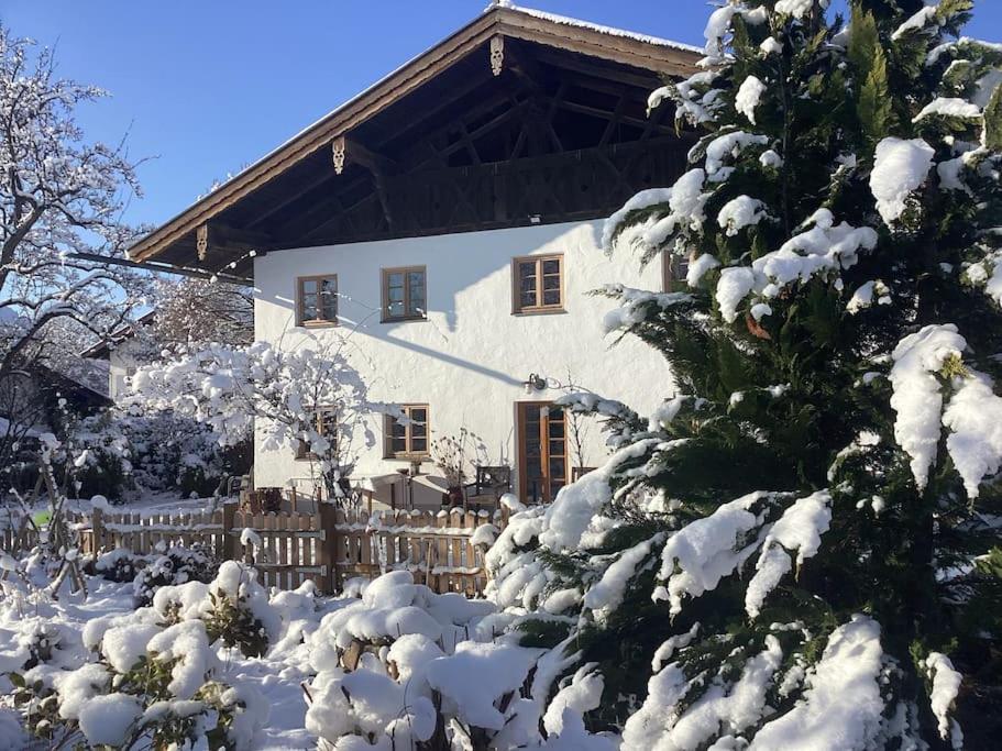 Der Birkenhof-Ried
