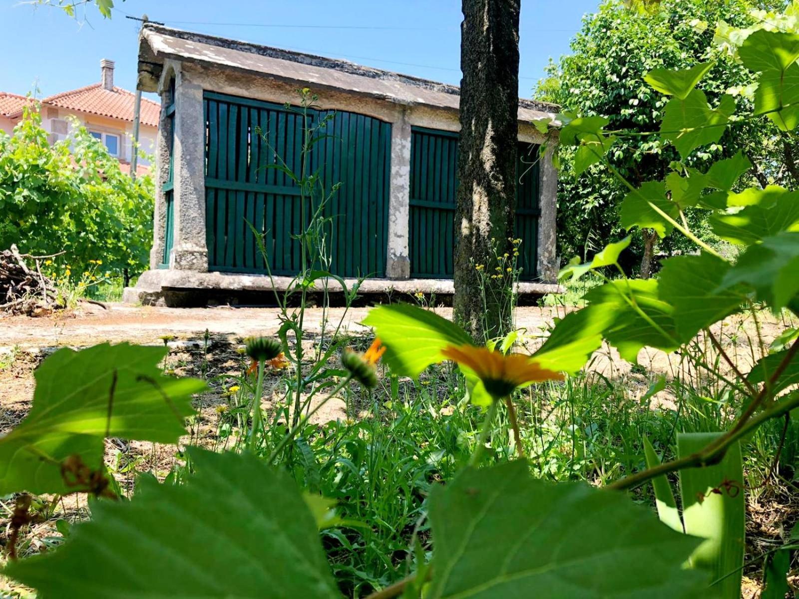 QUINTA DONA MANUELA view 4