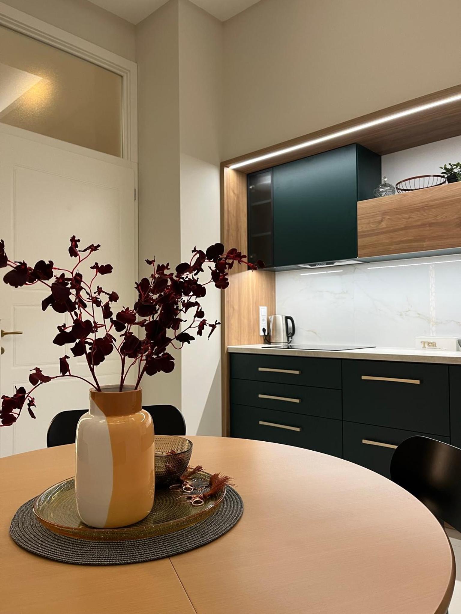 Visit Debrecen 3 Apartman view 5