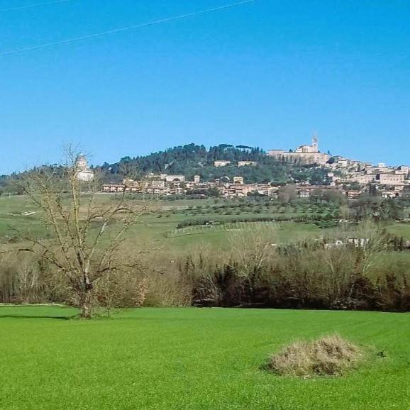 Villa Magda view 5
