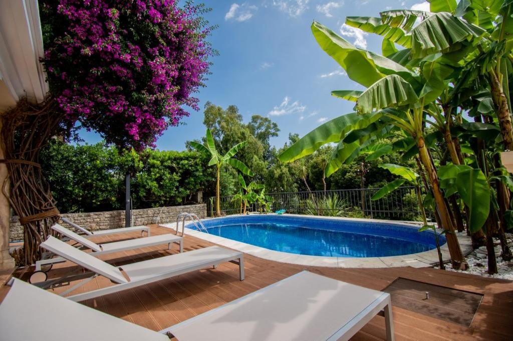 Vila Oliva