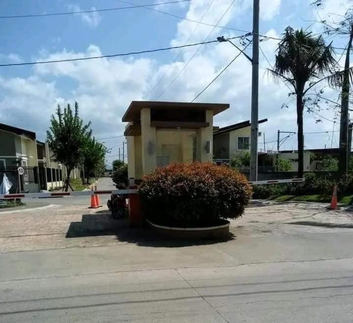 Photo 25