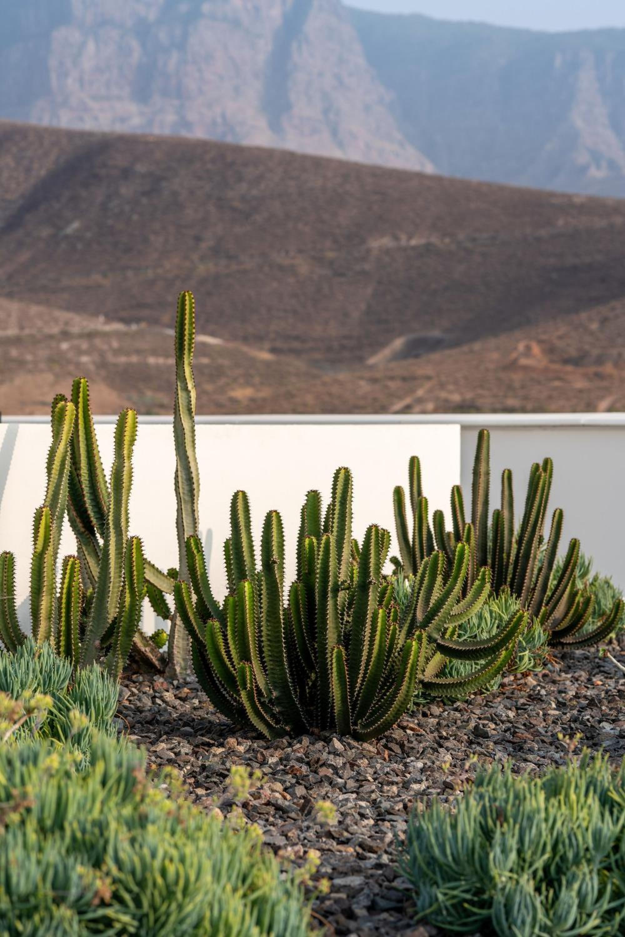 Vivelorural Agaete great garden & pool