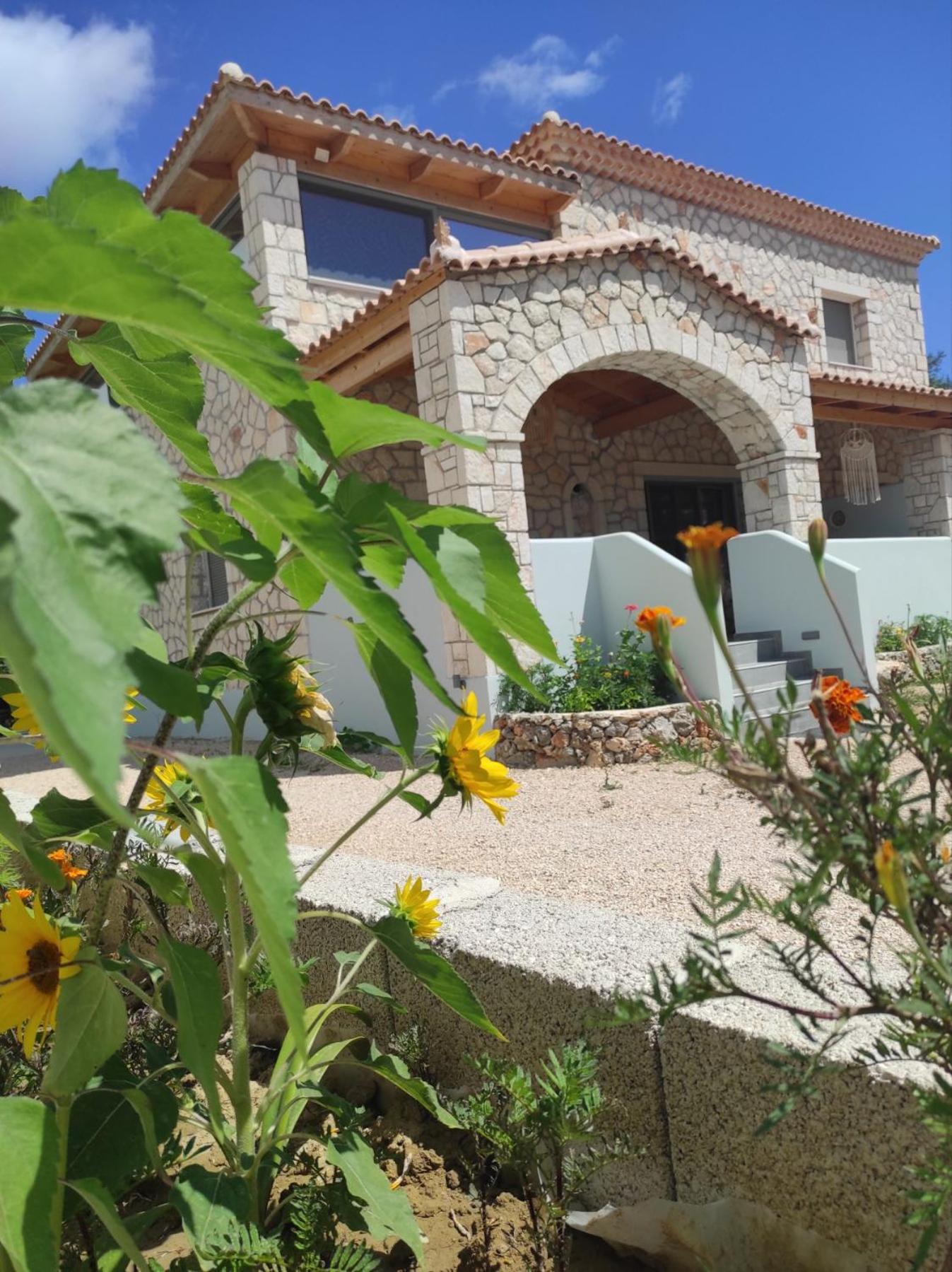 Black Pearl Apartment Lithakia Zakynthos photo 2