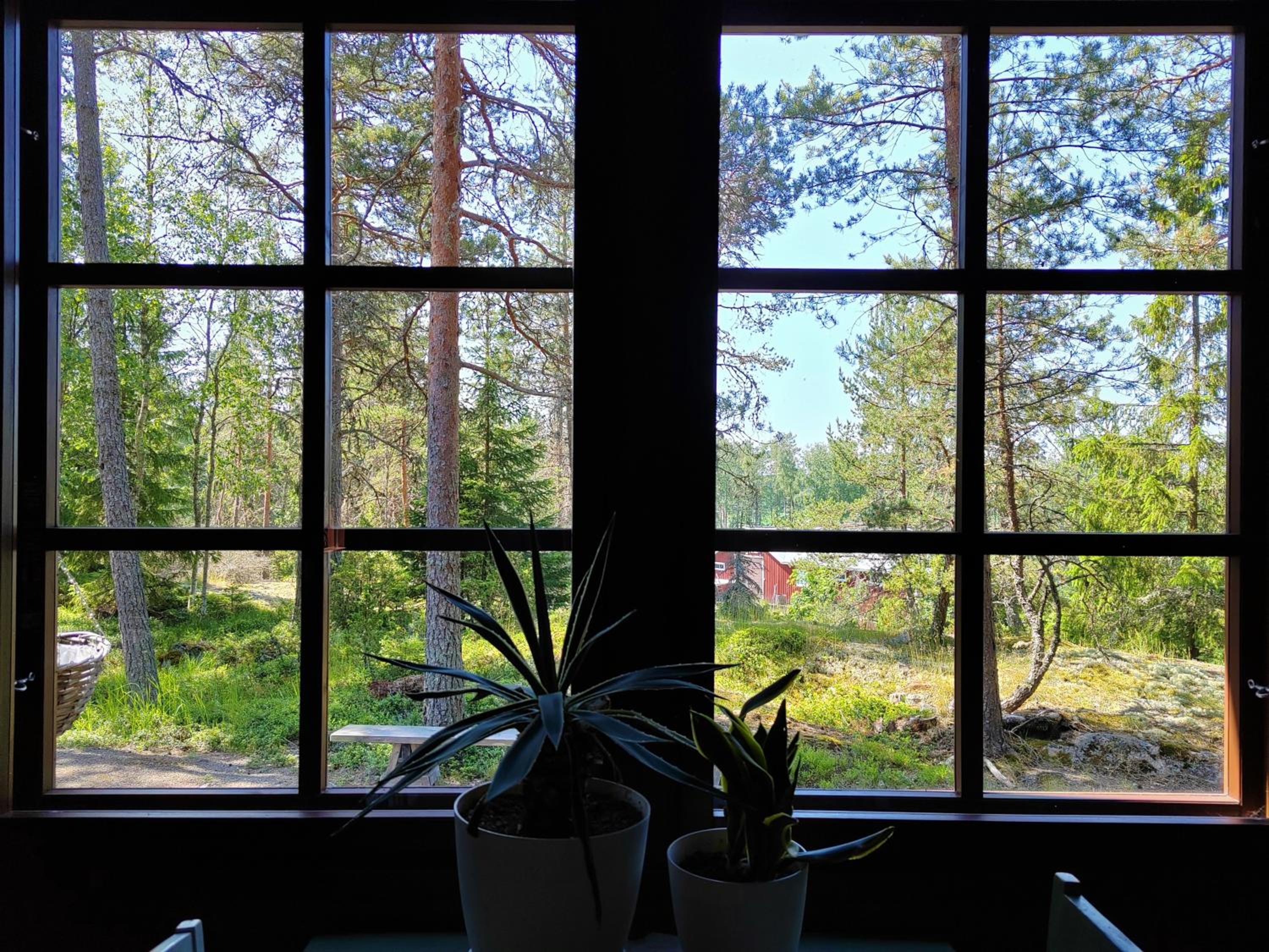 Nikolain tupa, vanha hirsitalo