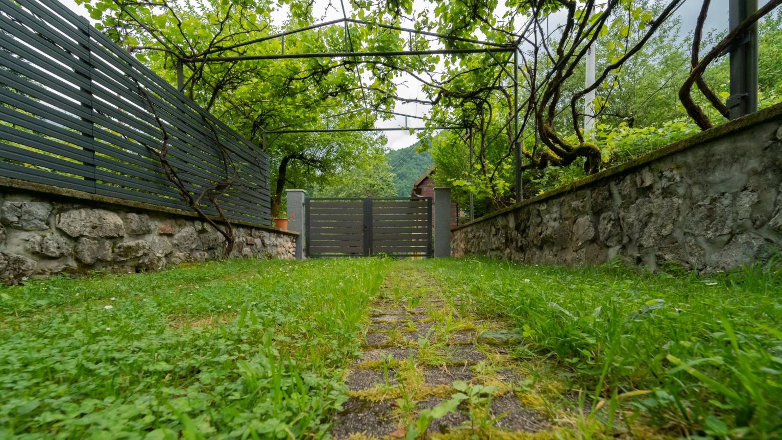 Photo 26
