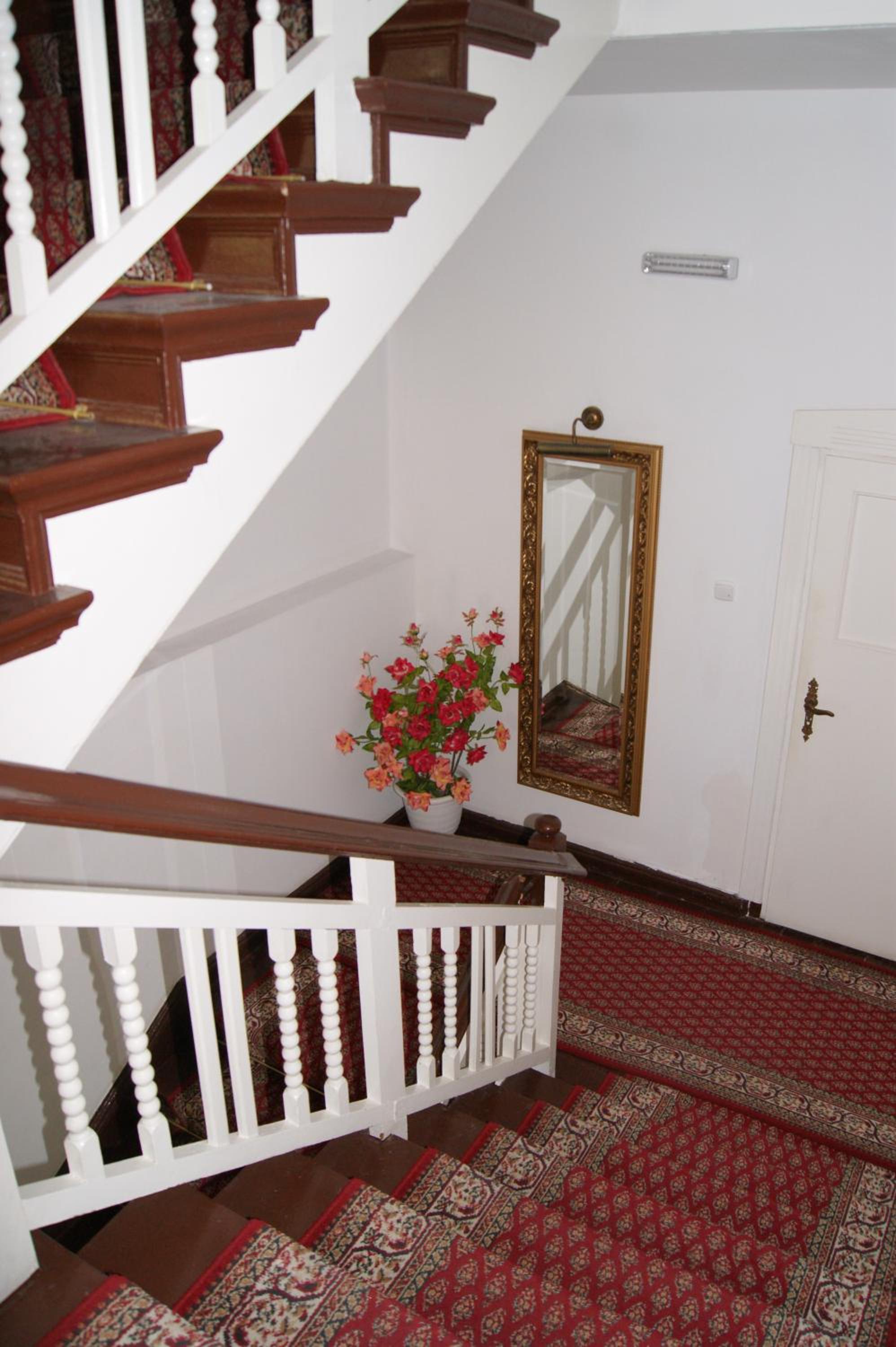 Photo 31