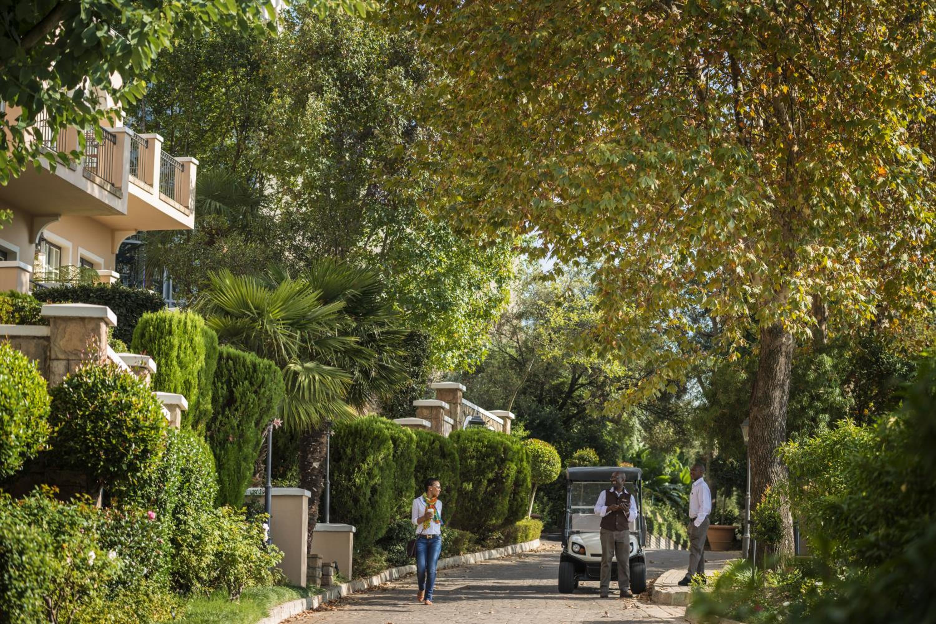 Johannesburg Vacations - Four Seasons Hotel The Westcliff - Property Image 34