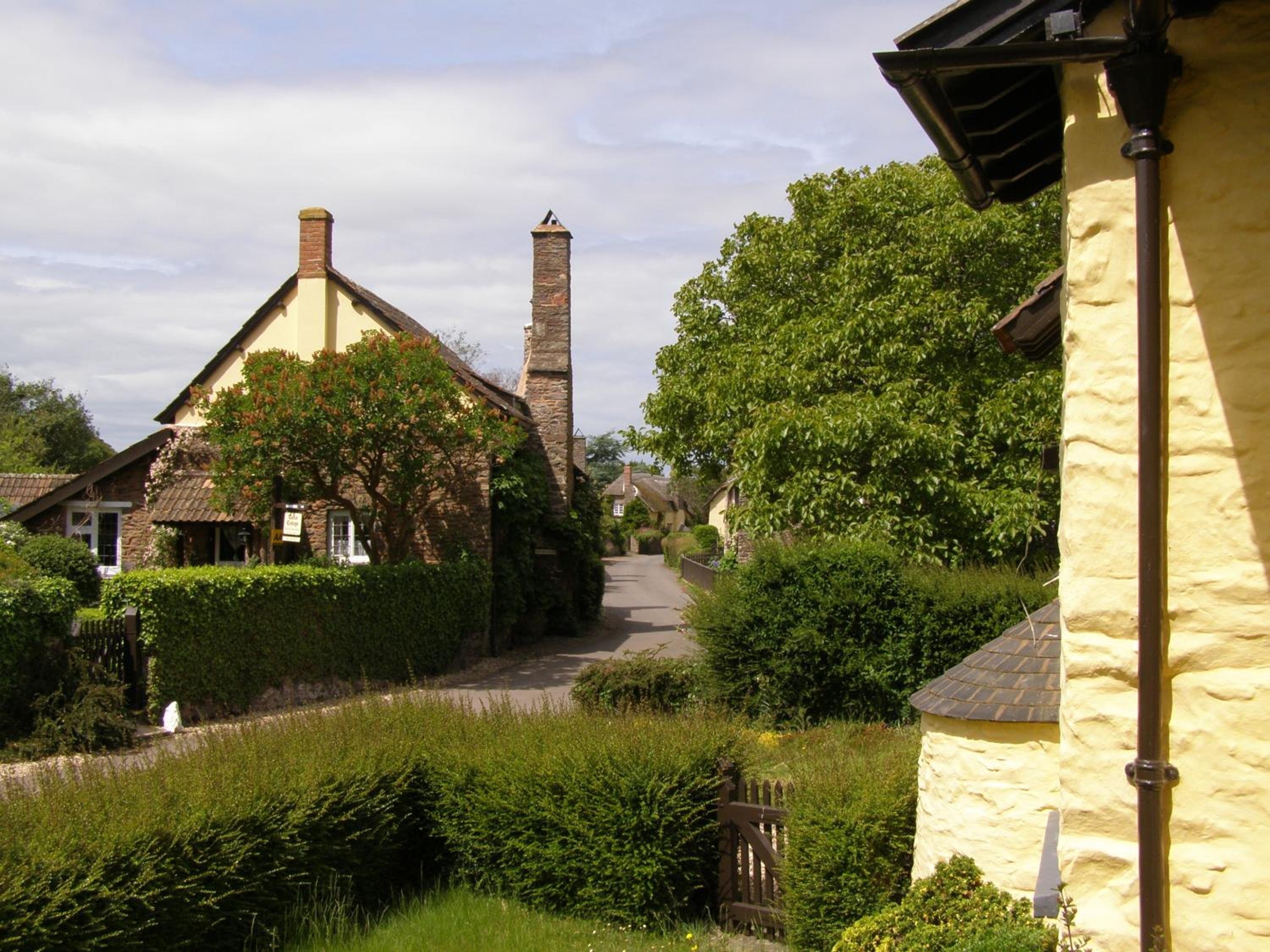 Photo 6