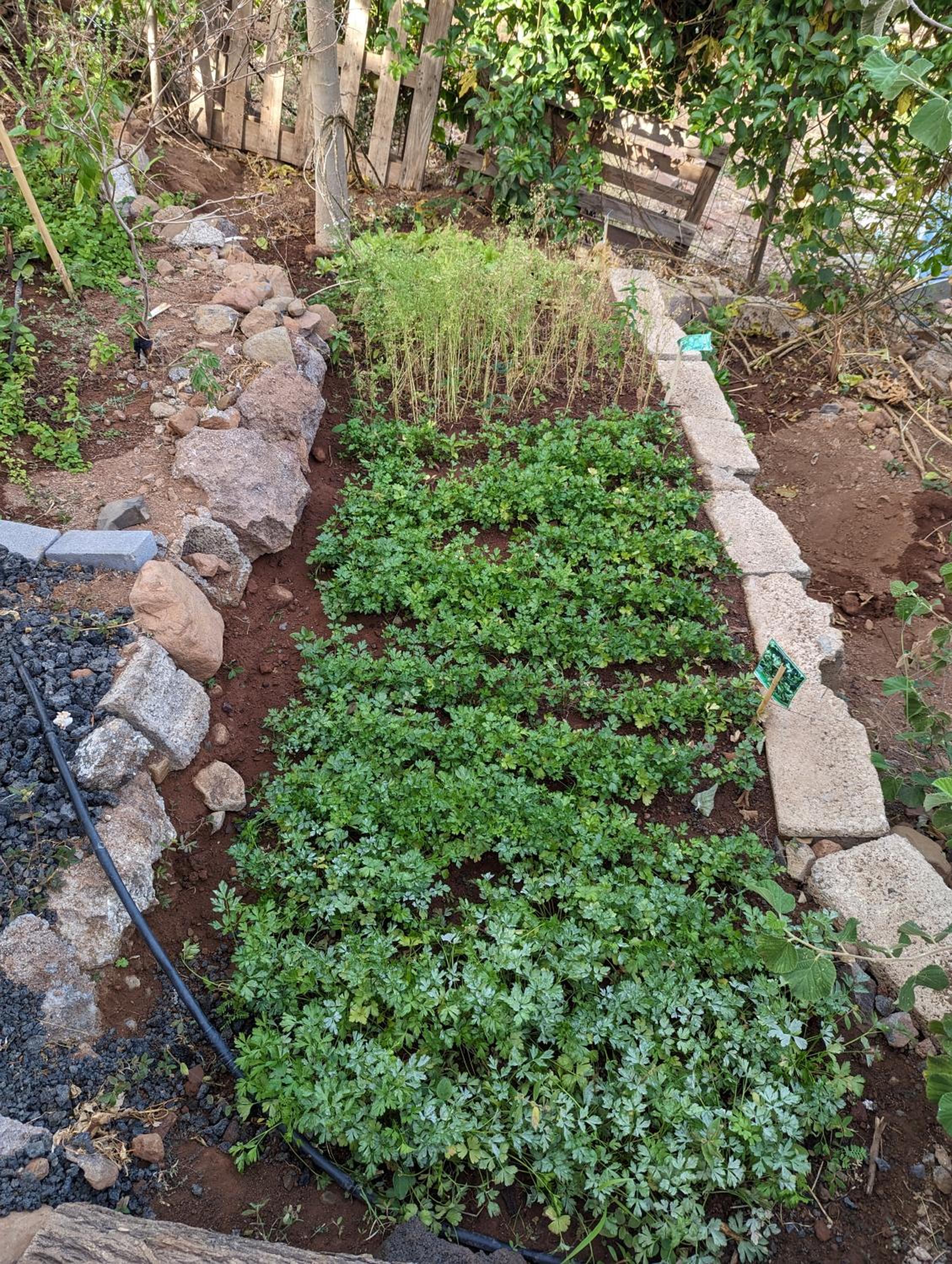 Finca Pedra Molar