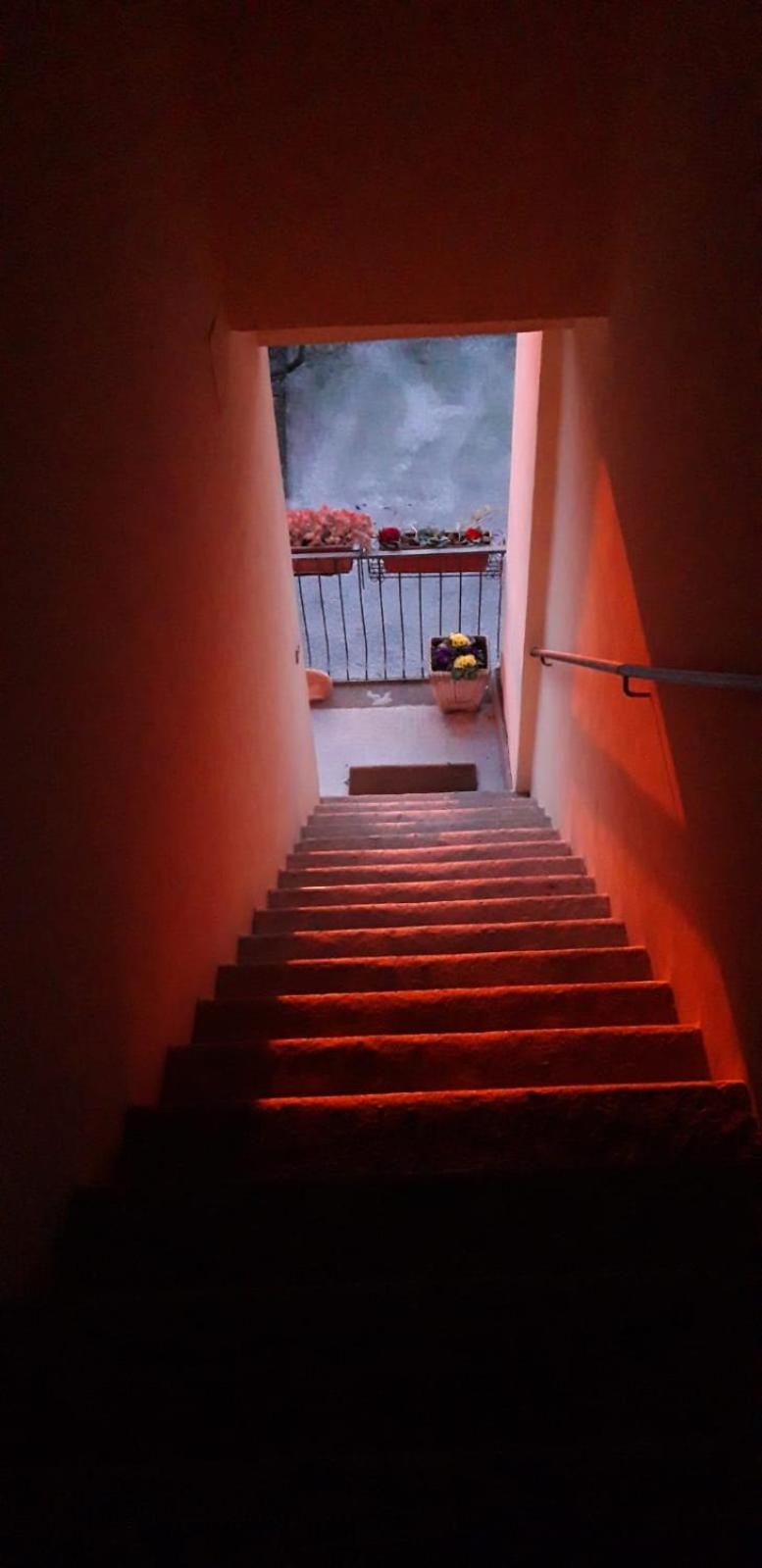 Terme e relax nella campagna viterbese photo 4