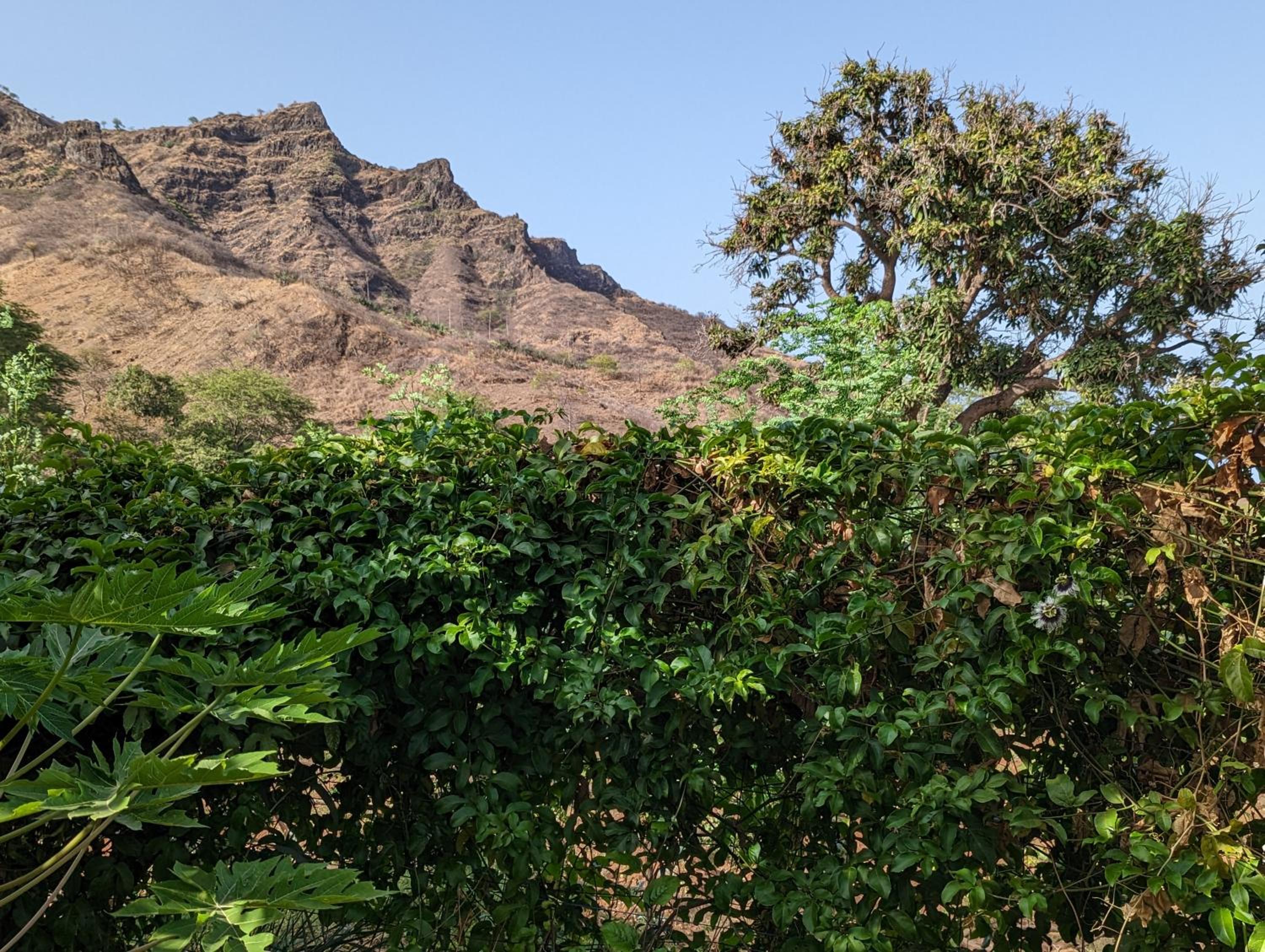 Finca Pedra Molar