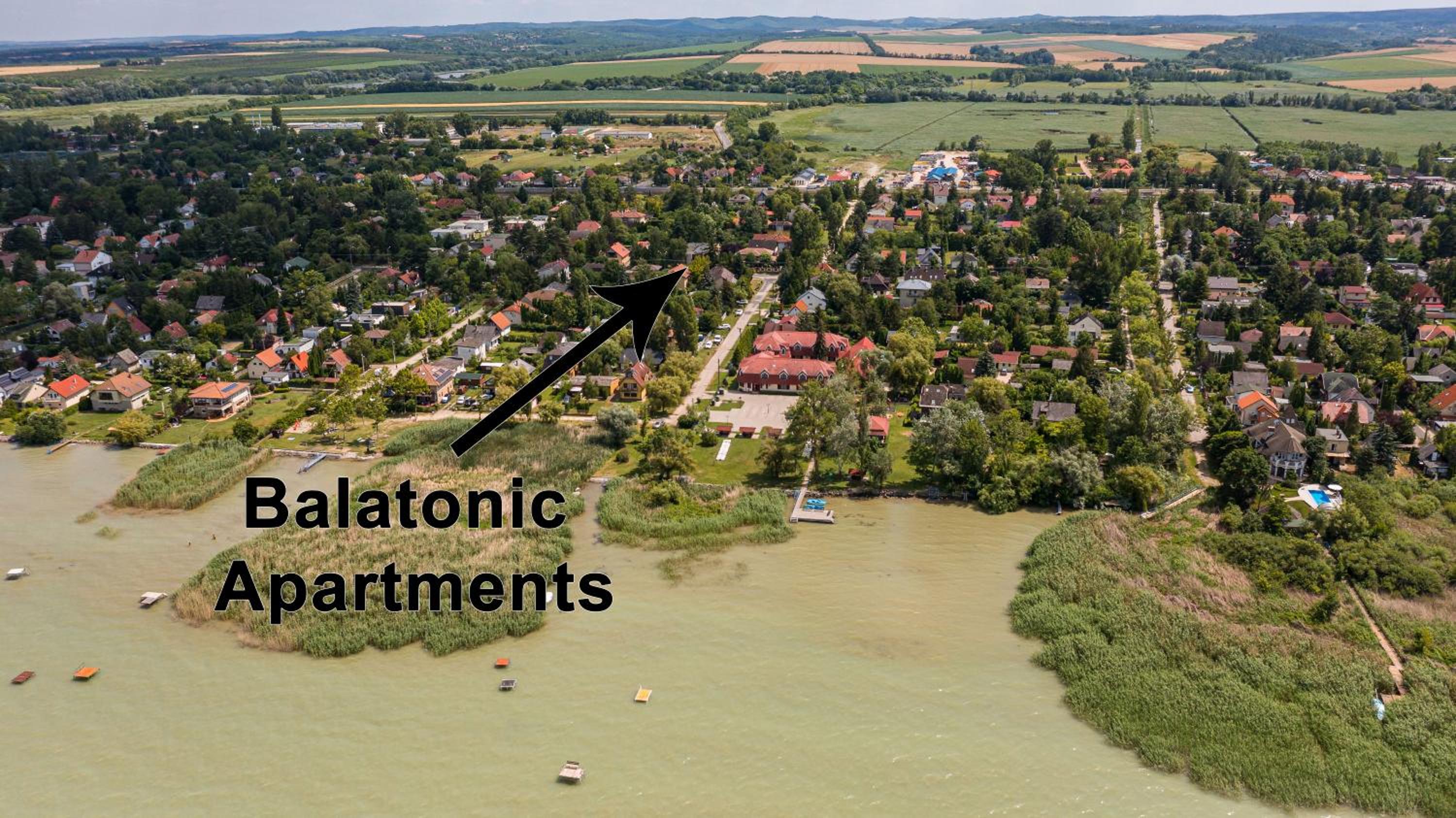 Balatonic Orange