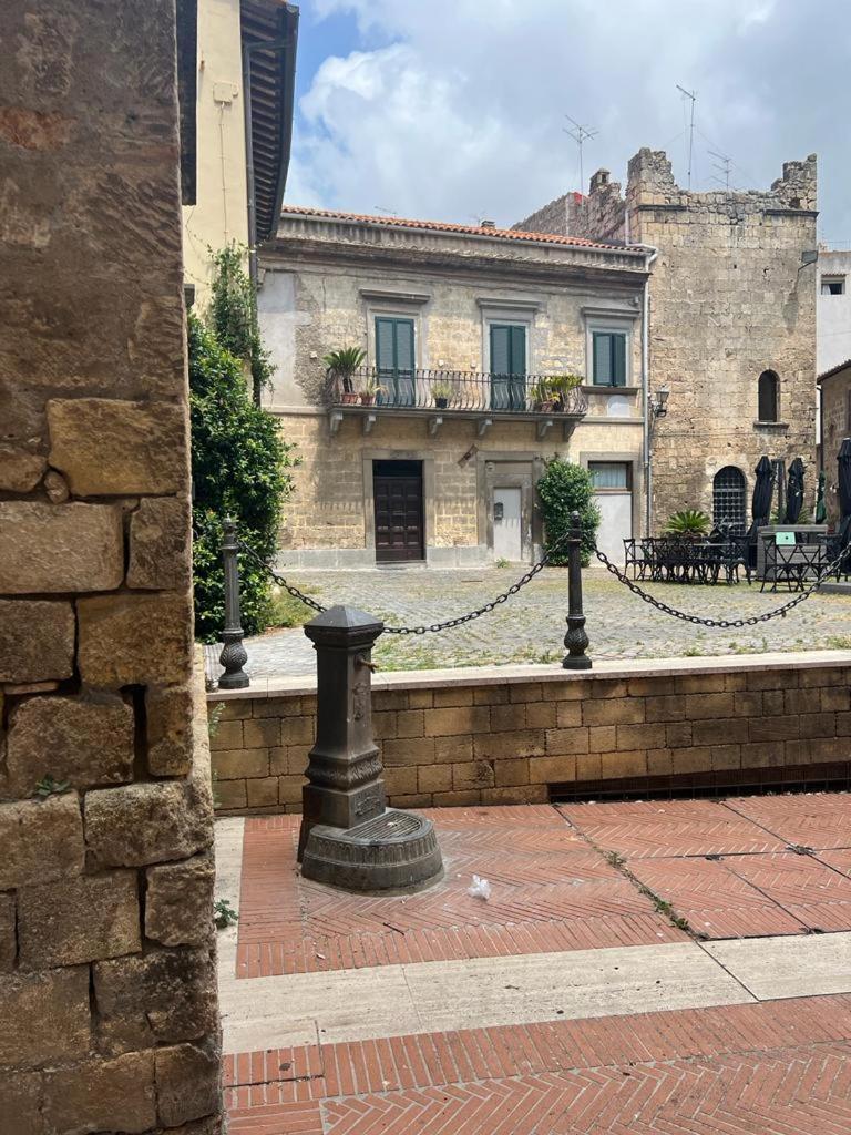 All’ombra del museo