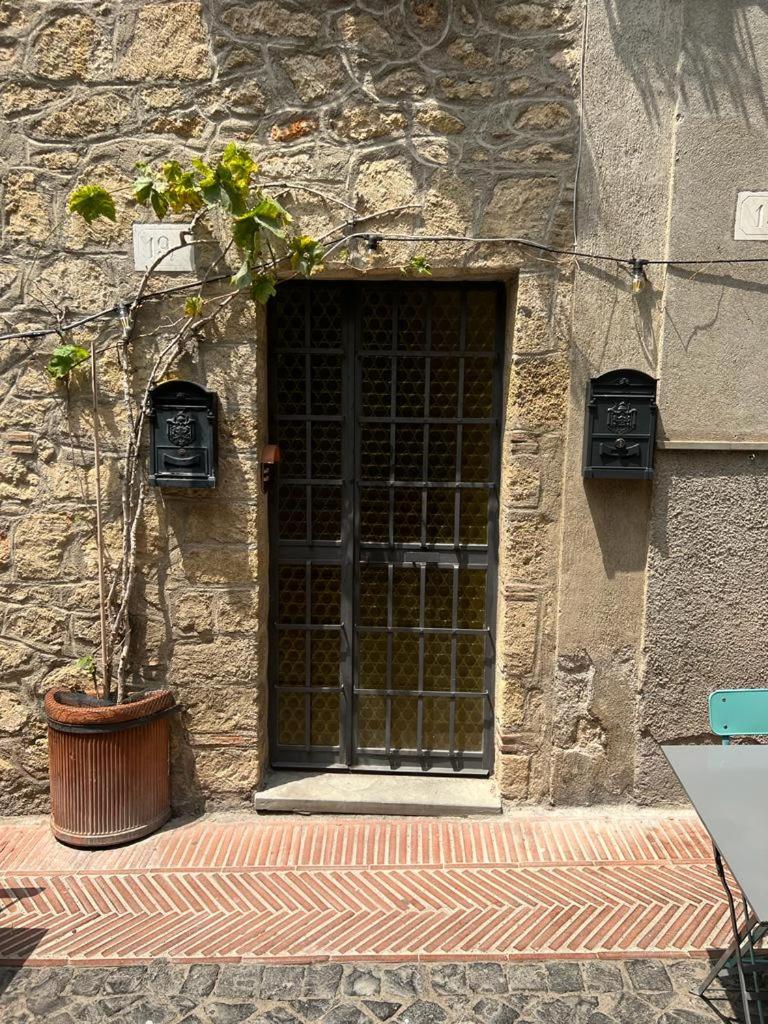 All’ombra del museo