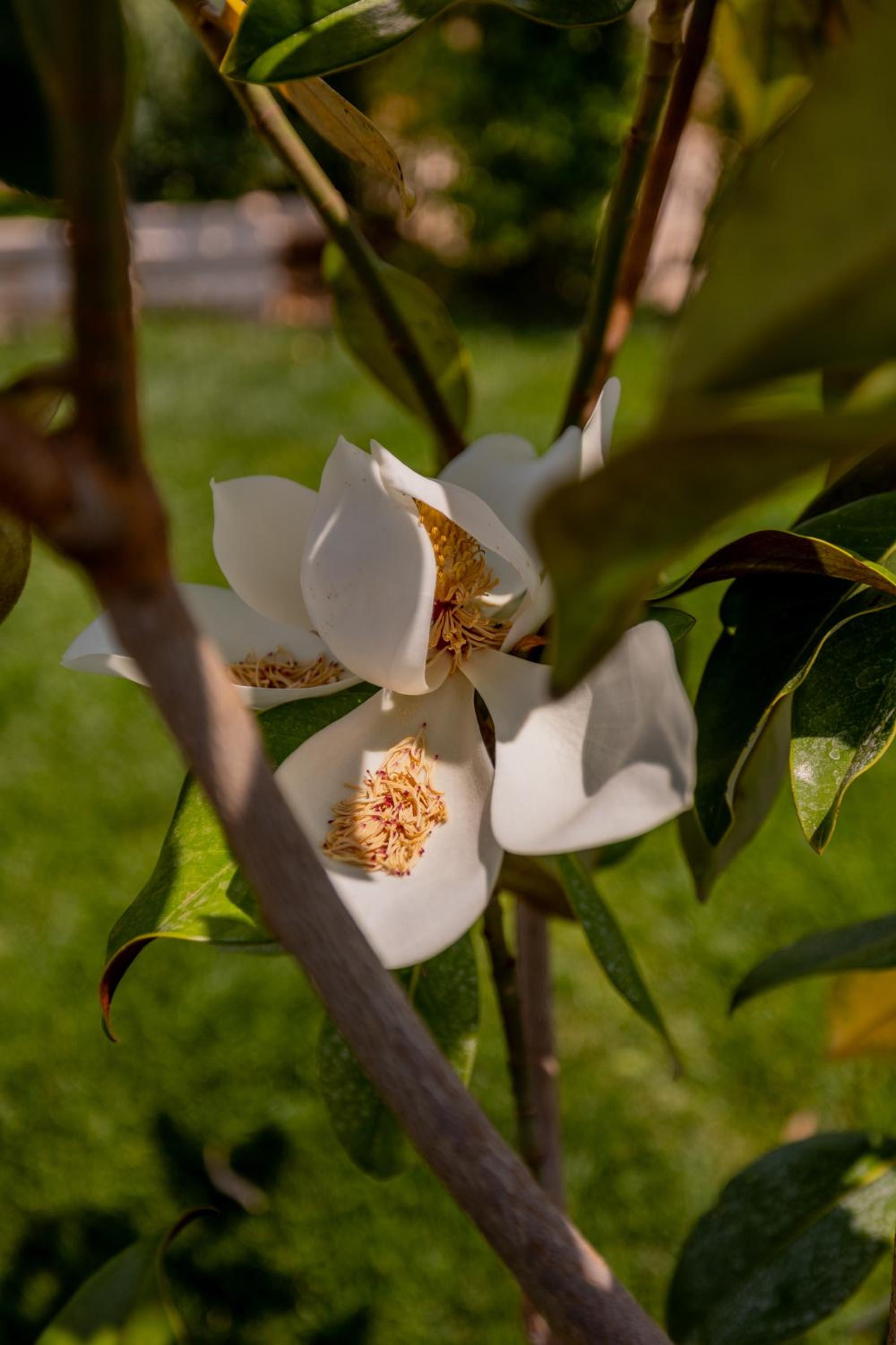 Photo 49