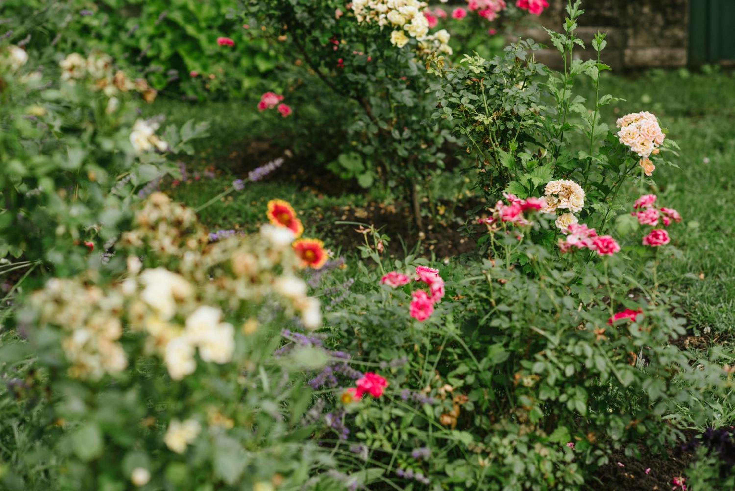 Photo 45