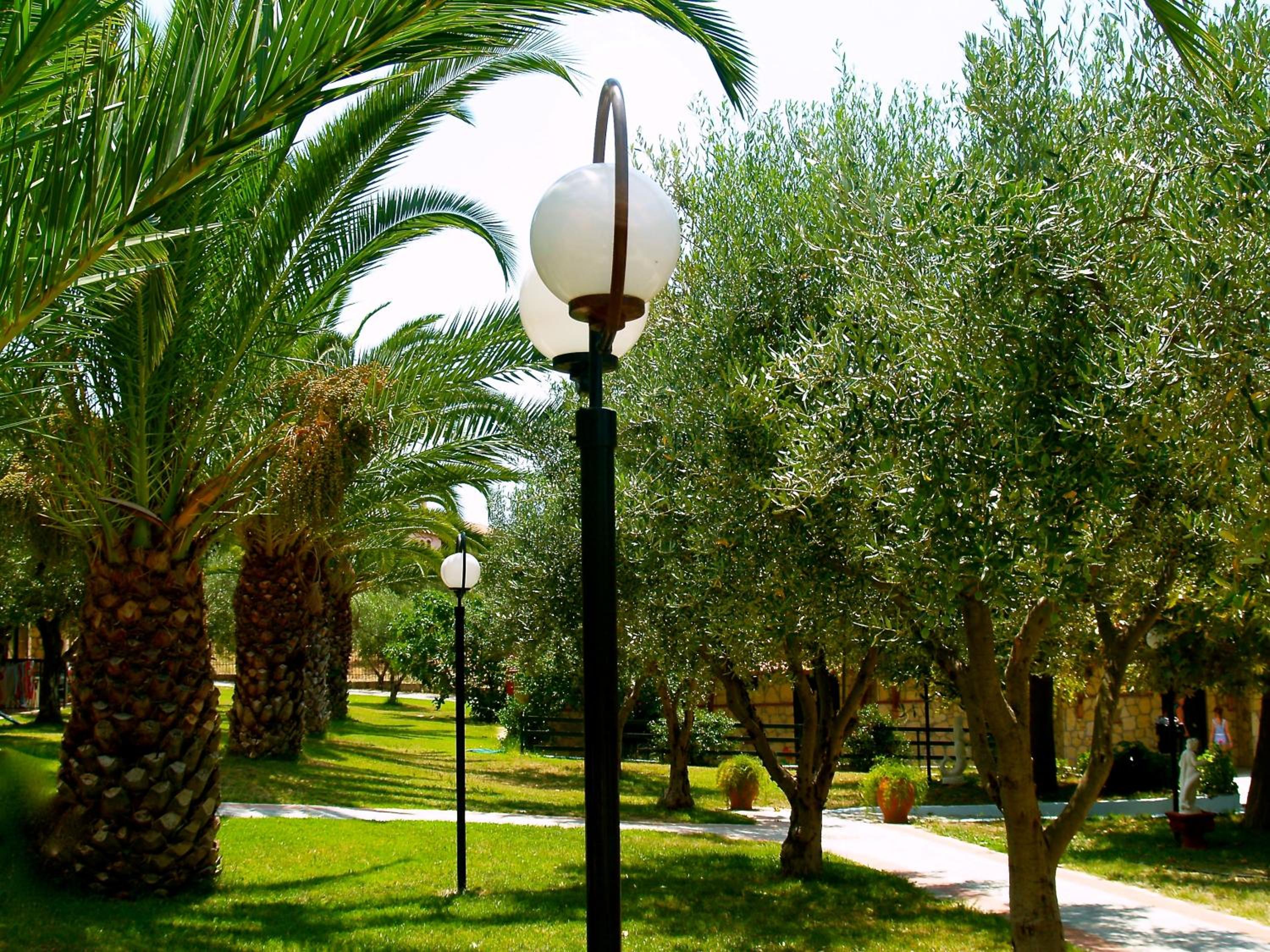 Village Mare