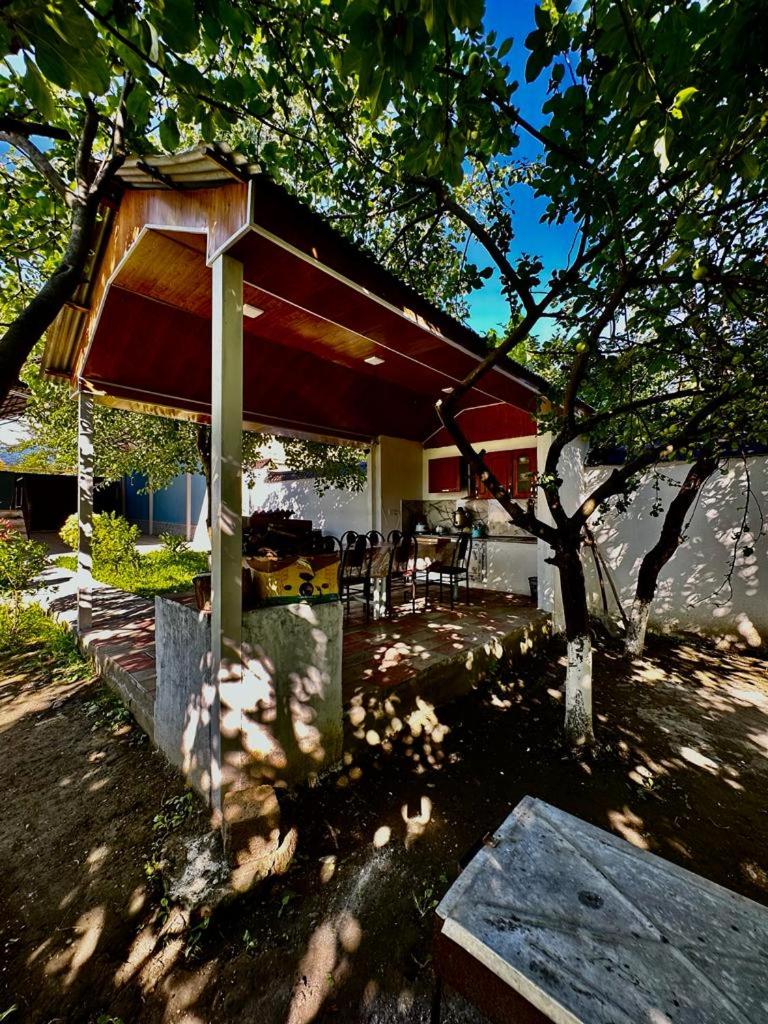 Gabala Grean Villa