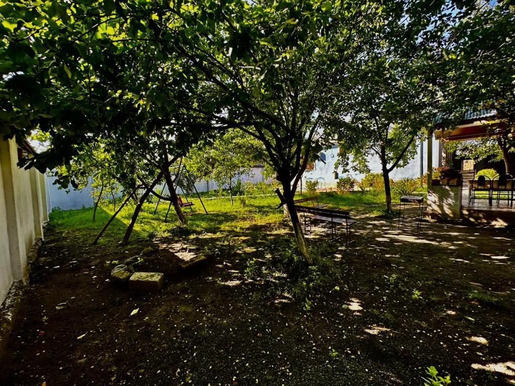 Gabala Grean Villa