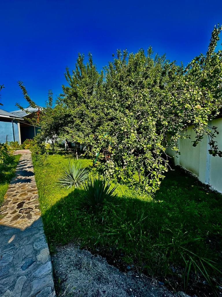 Gabala Grean Villa