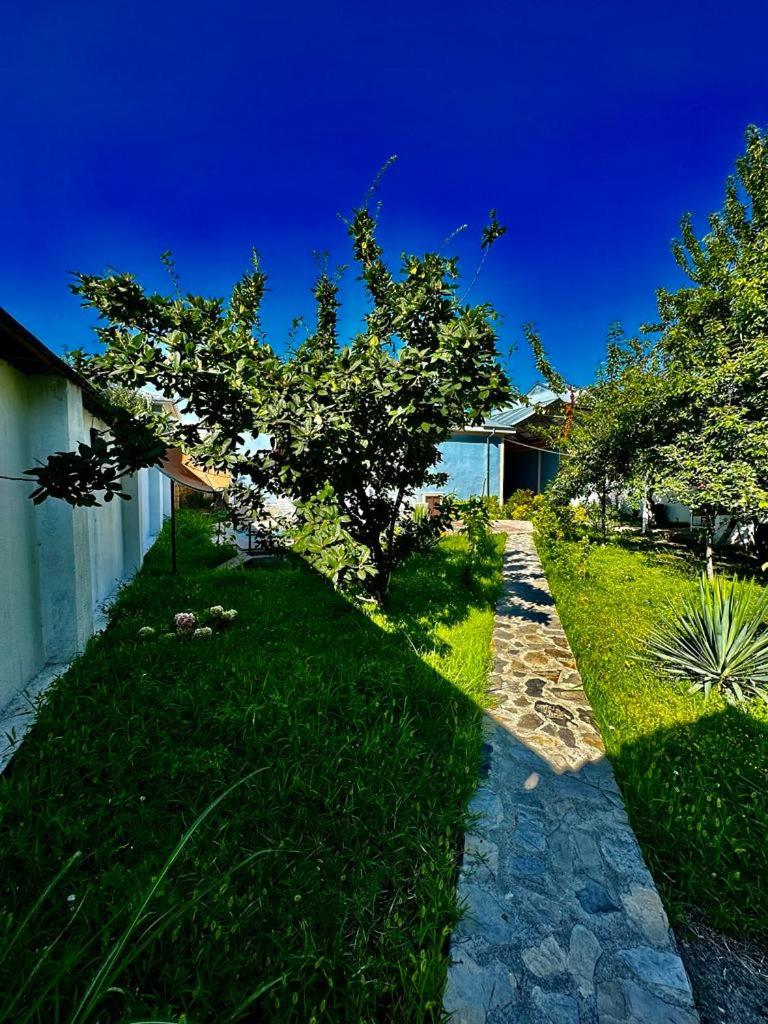 Gabala Grean Villa