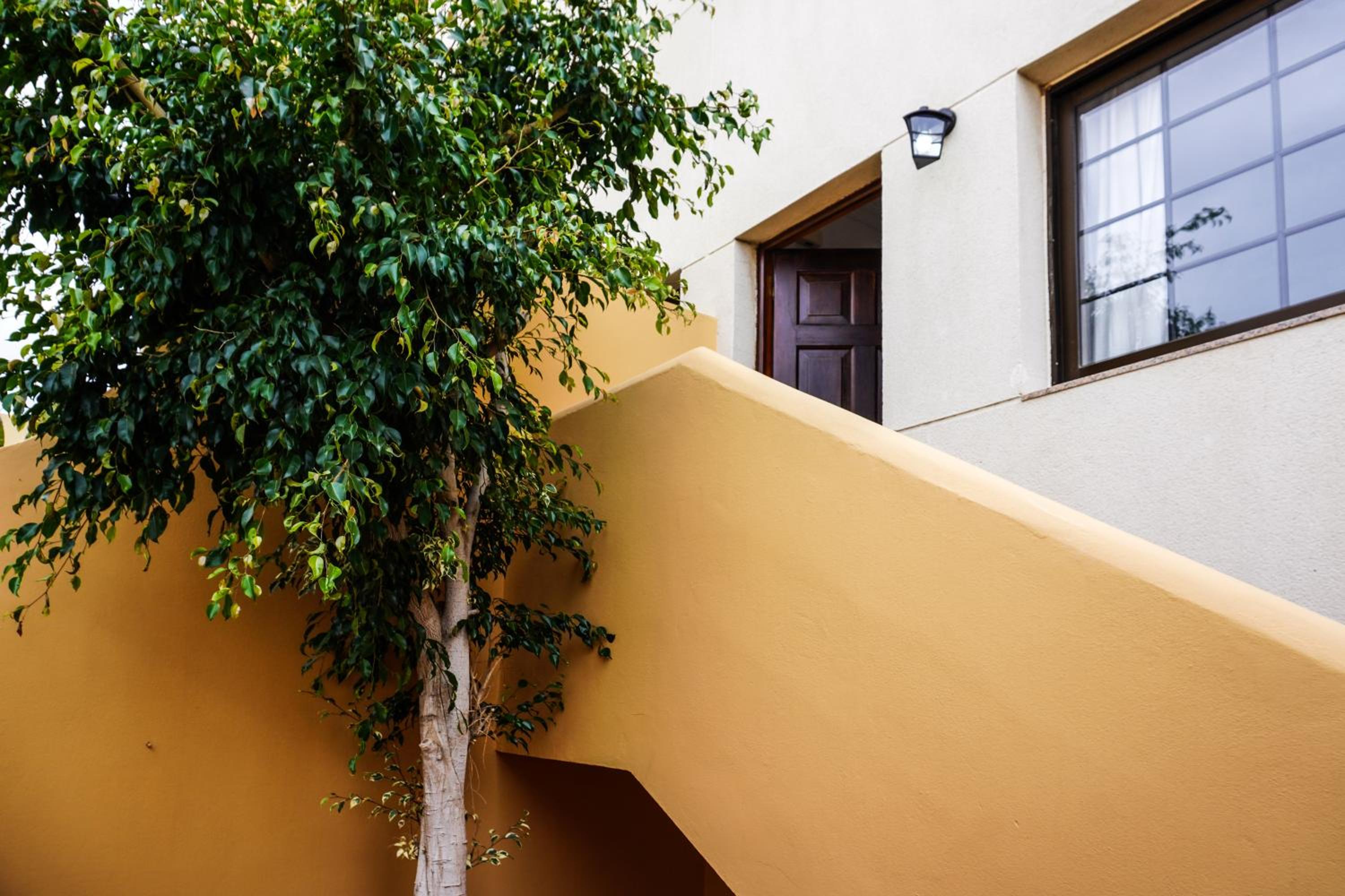 Bright House With Working Space