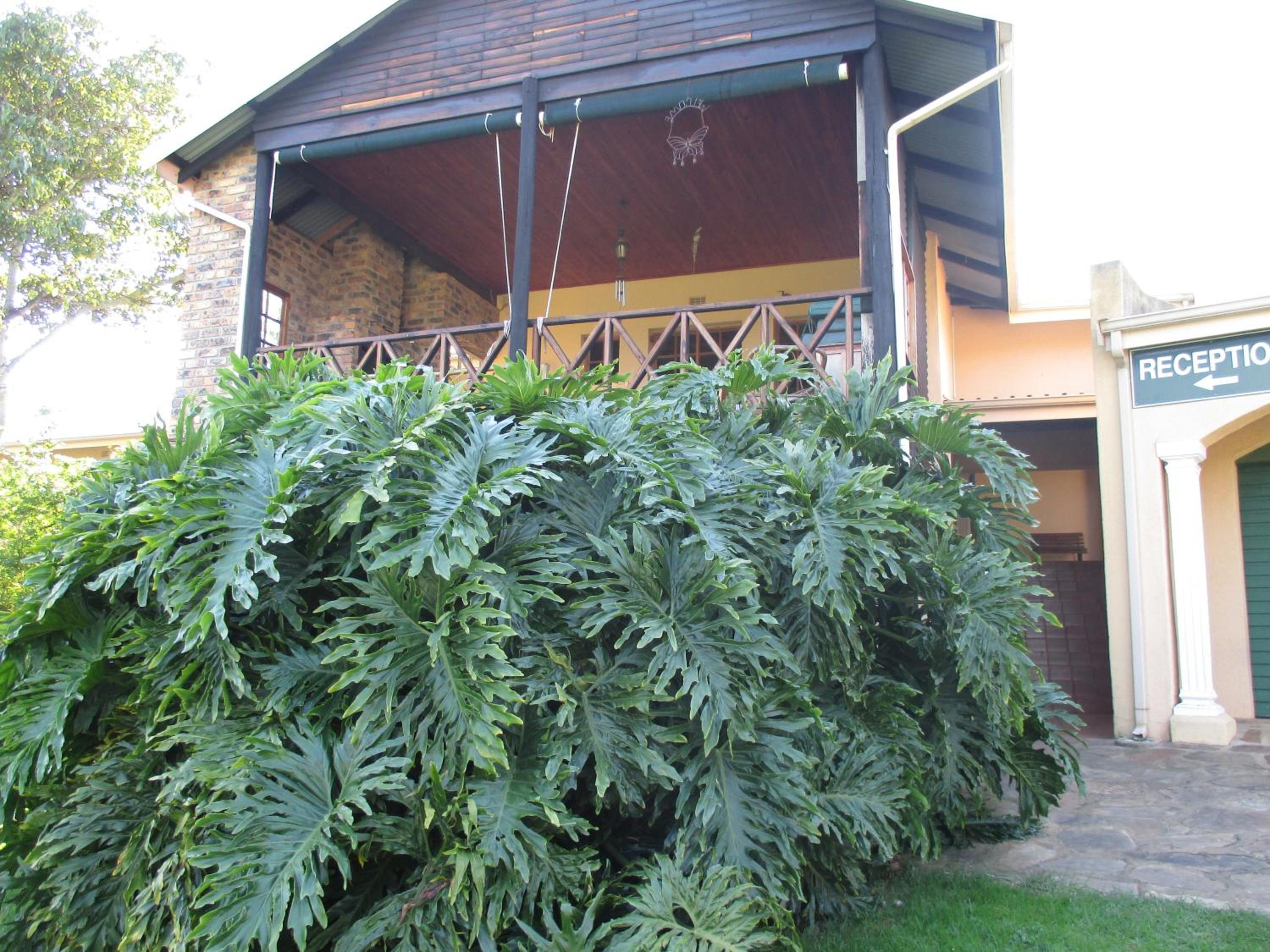 Thaba Tsweni Lodge & Safaris