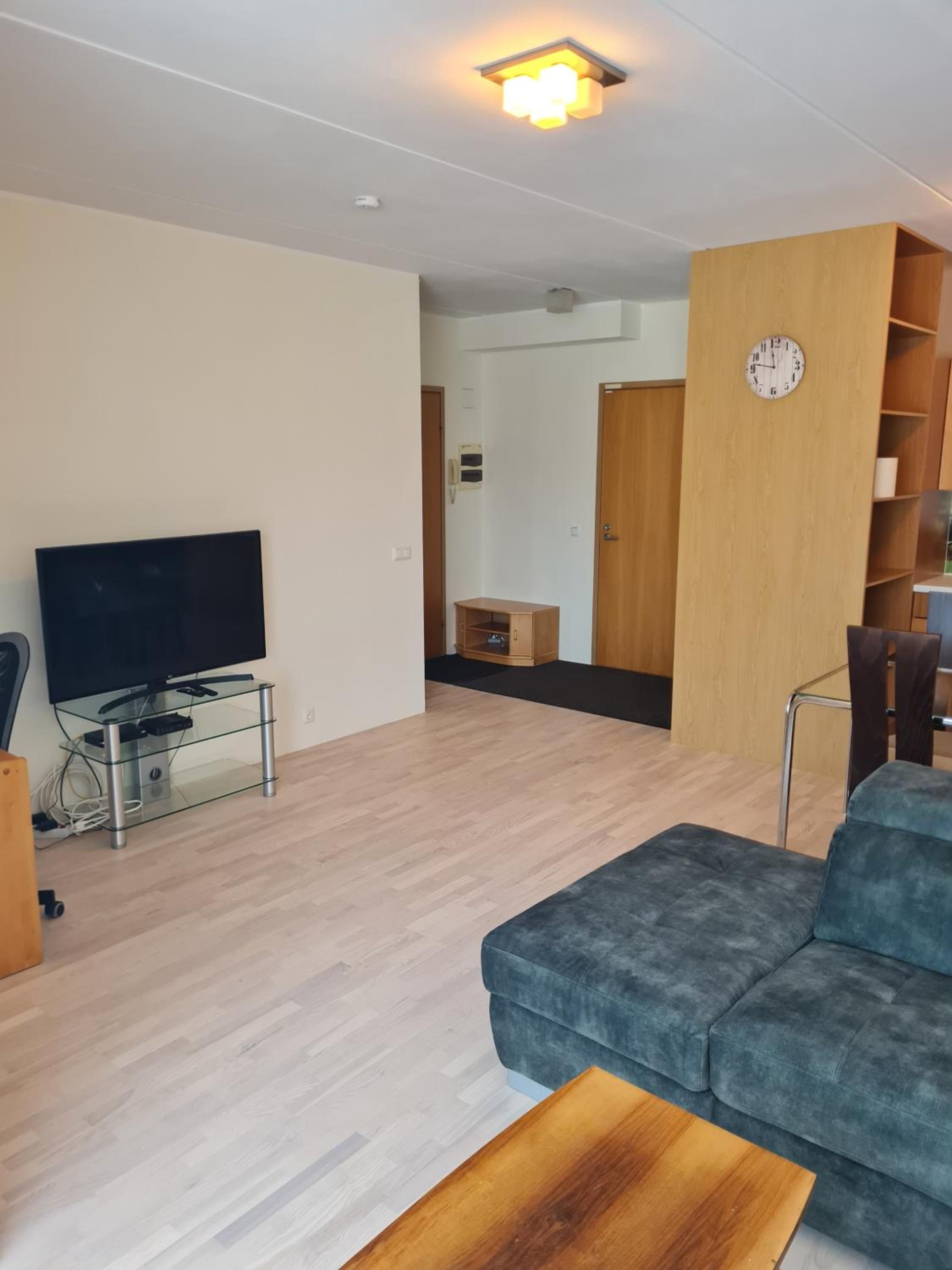 Cozy one bedroom apartment in city center