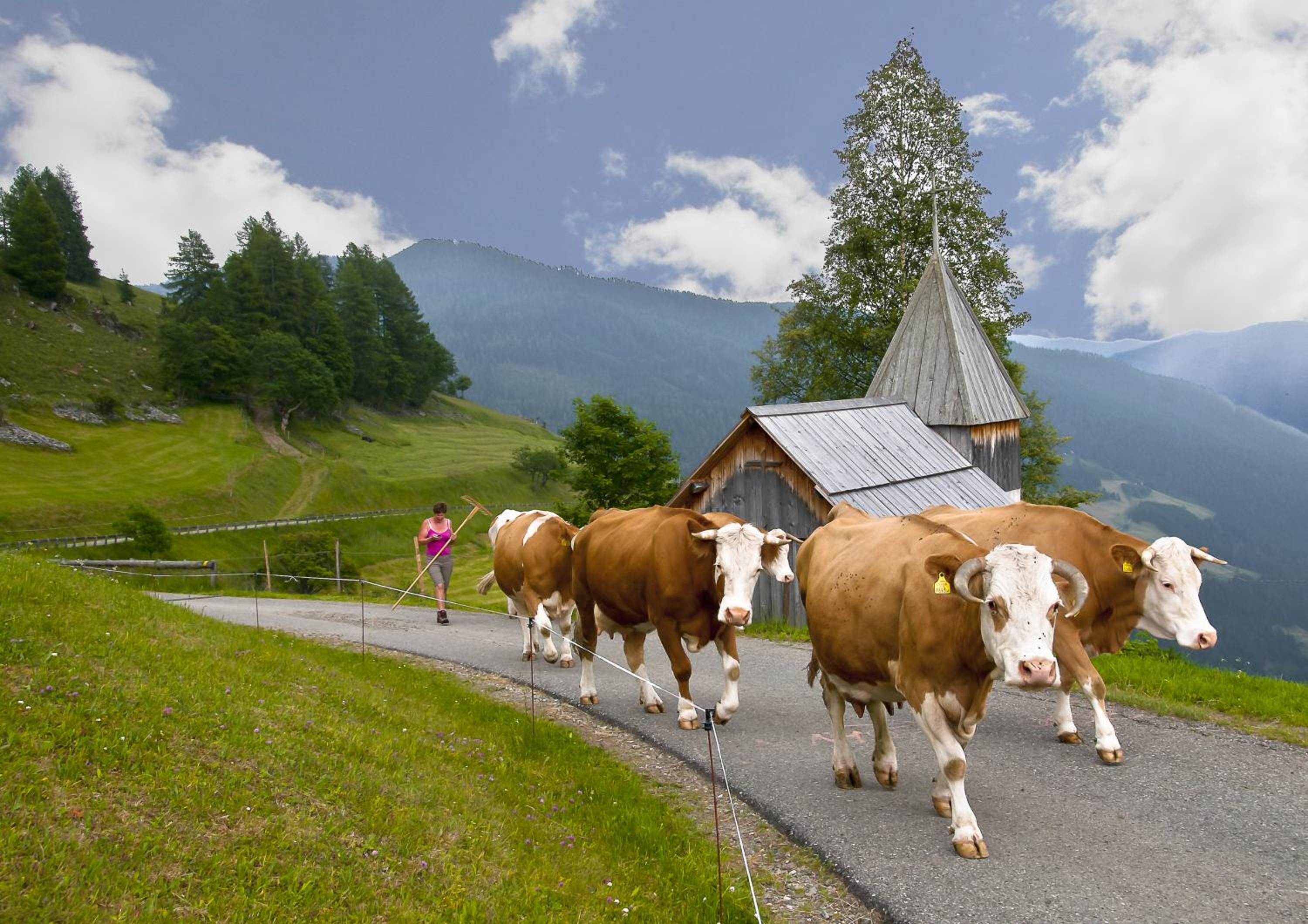 Schrunerhof